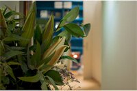 Фото Отель LeMar Boutique Barcelona