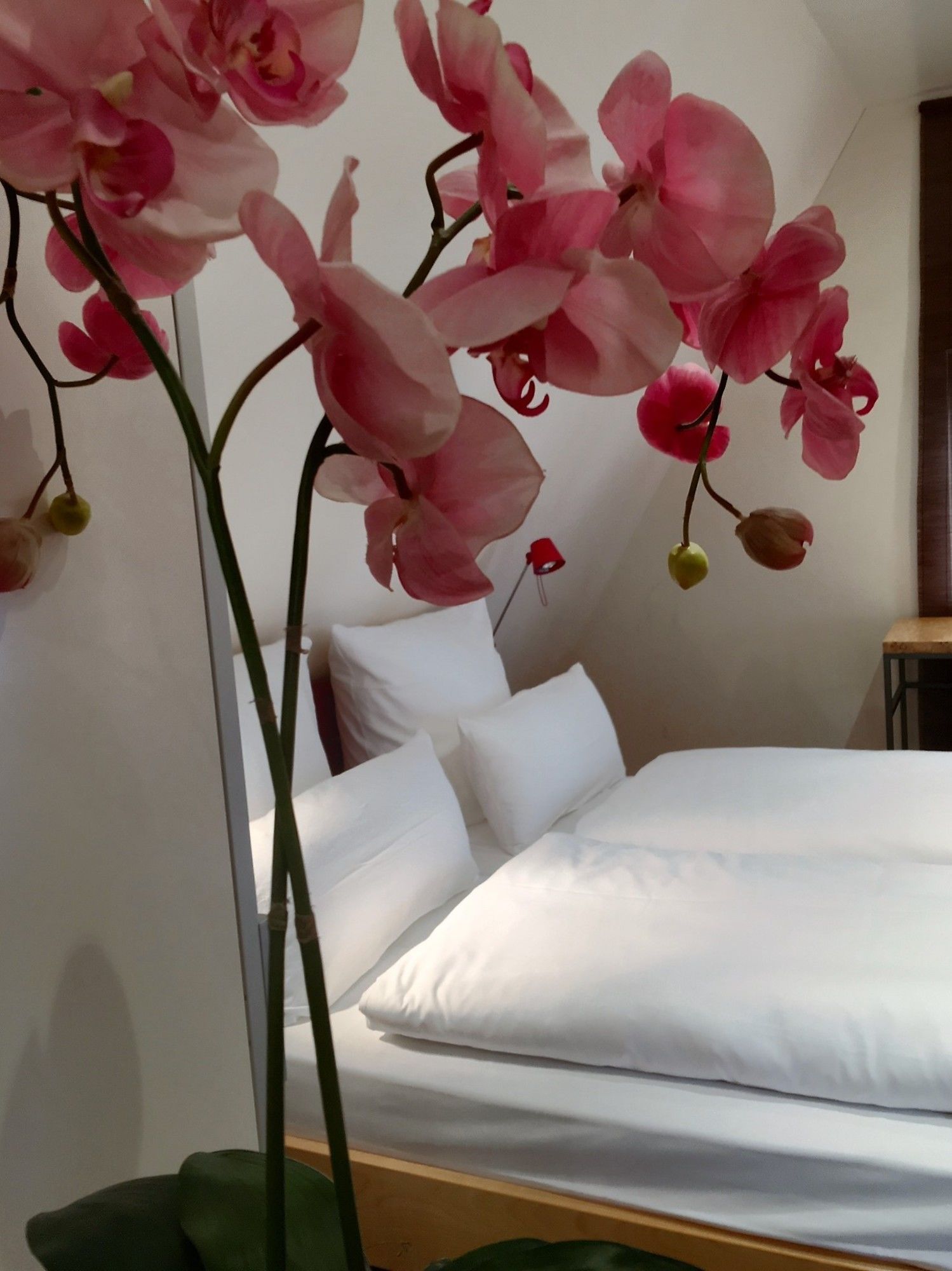 Фото Hotel Zur Alten Brücke