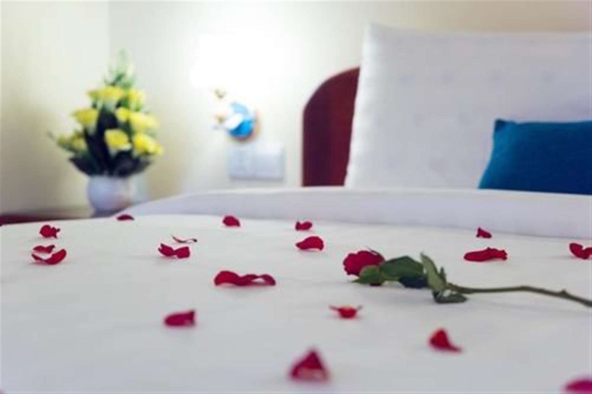 Фото CentranaHotel