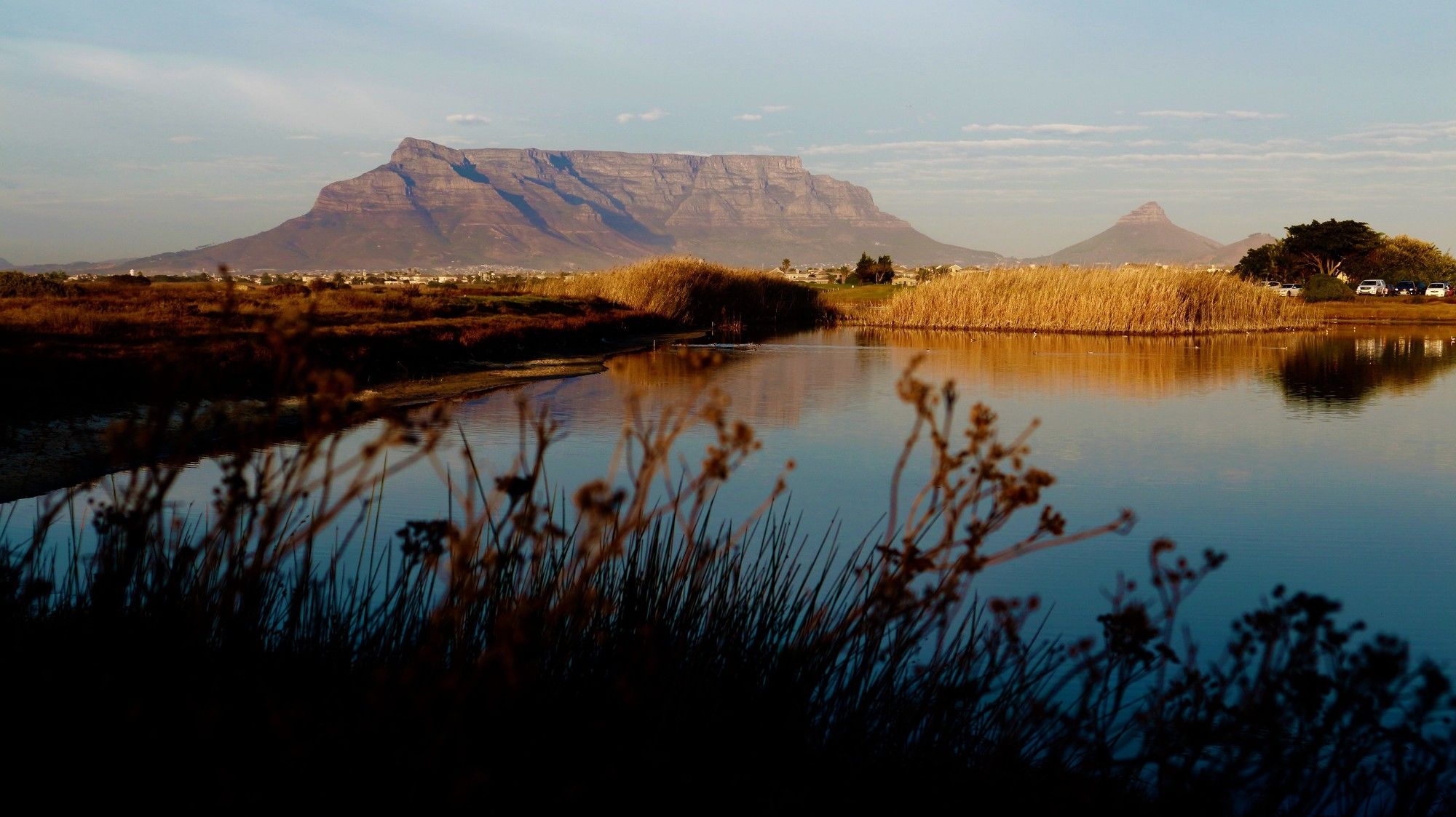 Фото Cinnamon House Bed and Breakfast