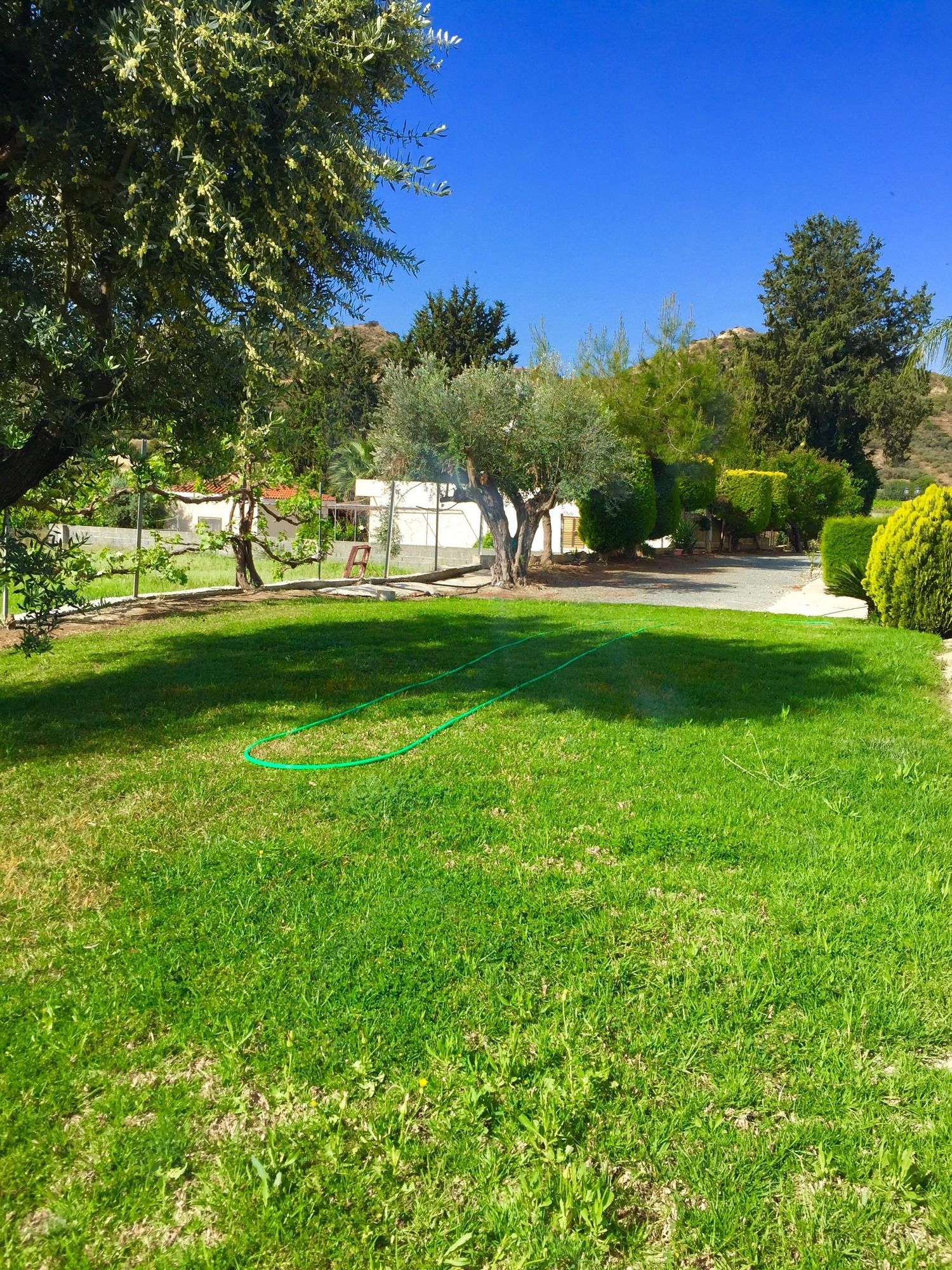 Фото Himonas Apartments