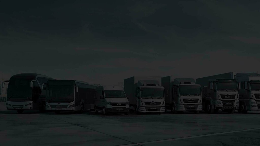 Monitoring of motor vehicles Karyaturk Technology, Istanbul, photo