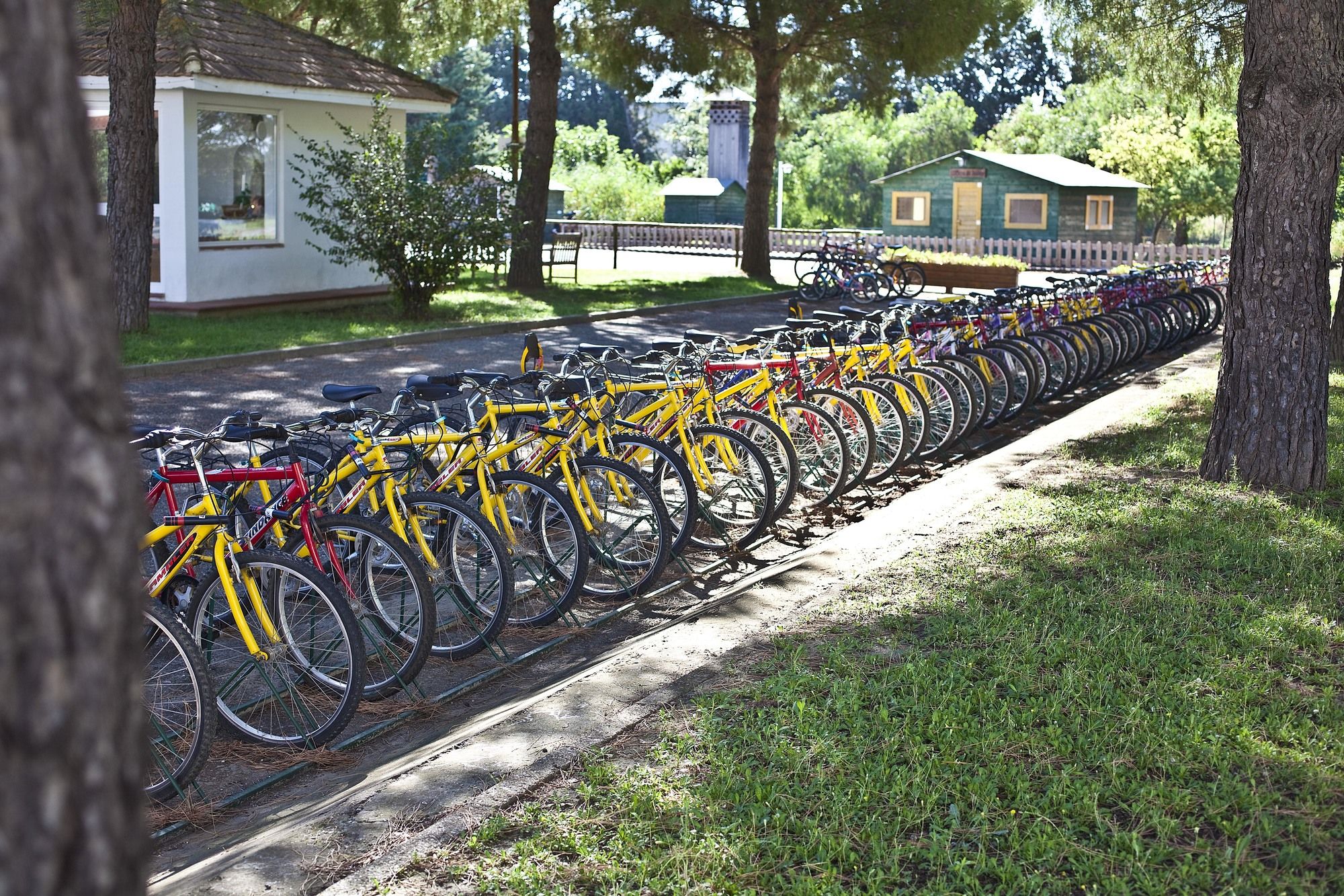Фото Masseria Macchia & Relais San Pio