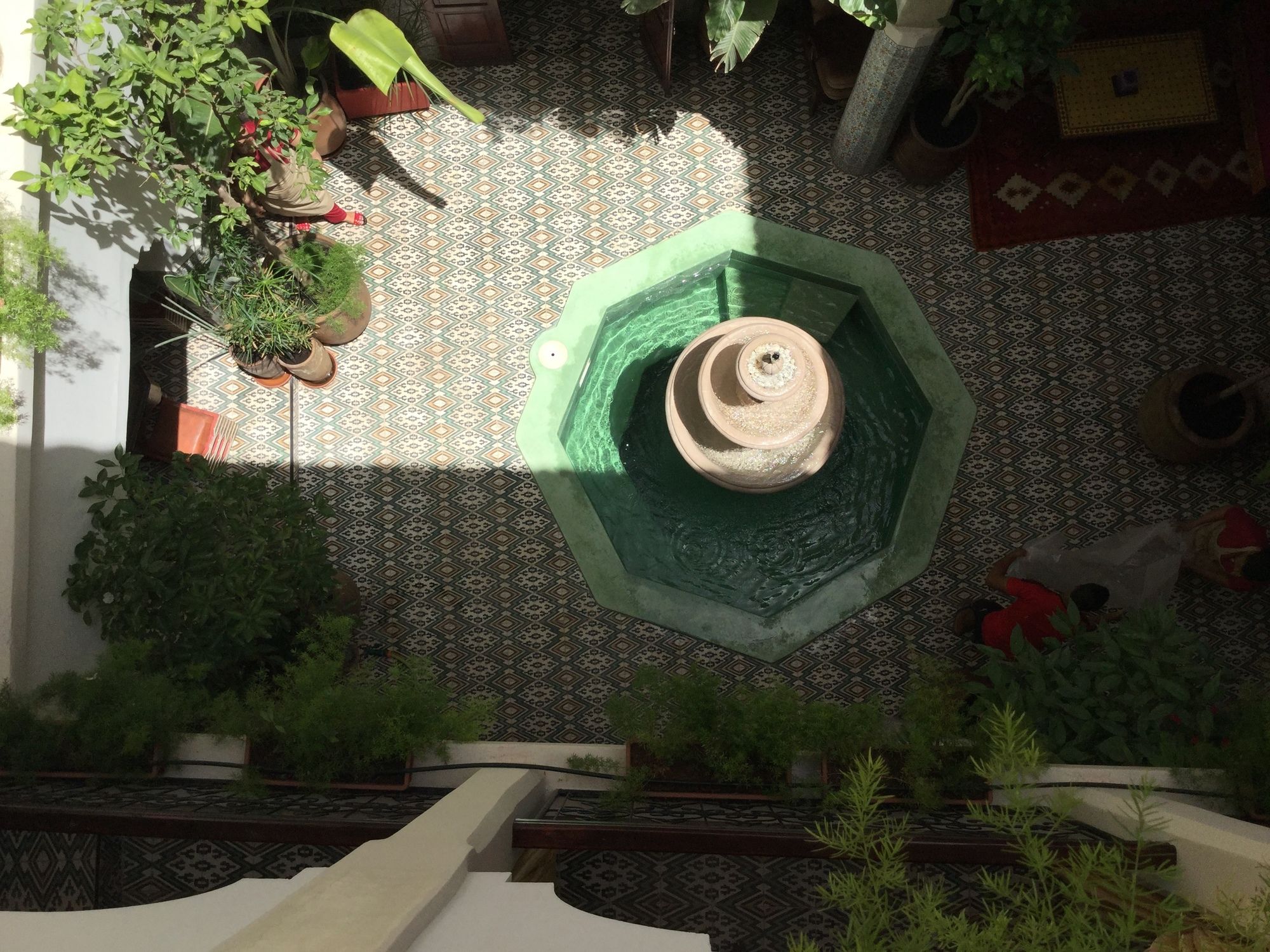 Фото Abélia Riad