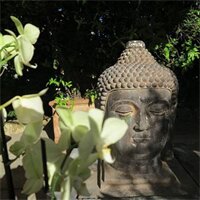 Фото La Villa Cannes Croisette