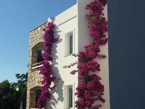 Гостиница Sun Garden Apart Hotel в Бодруме