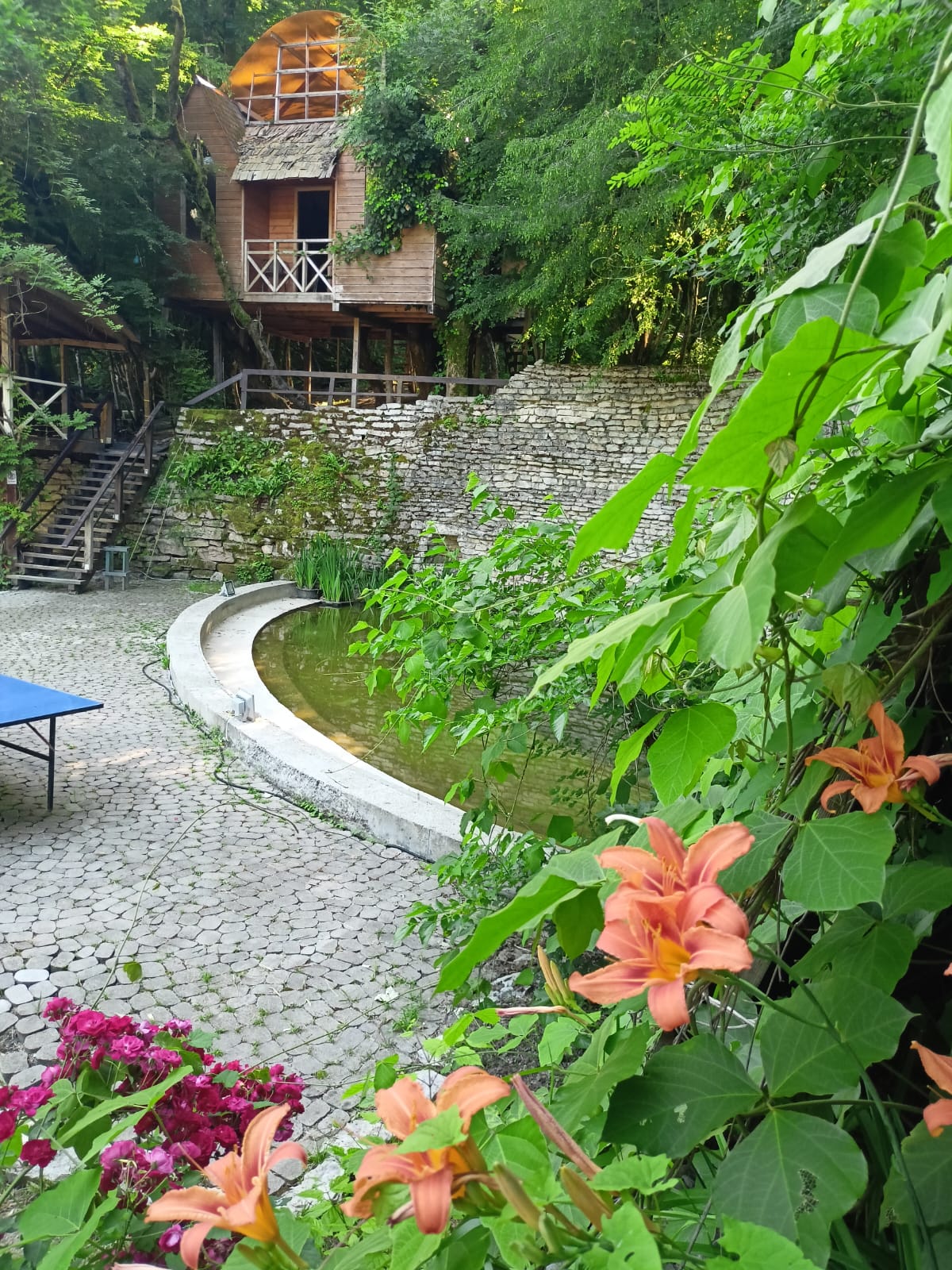 Фото Хоста Рика