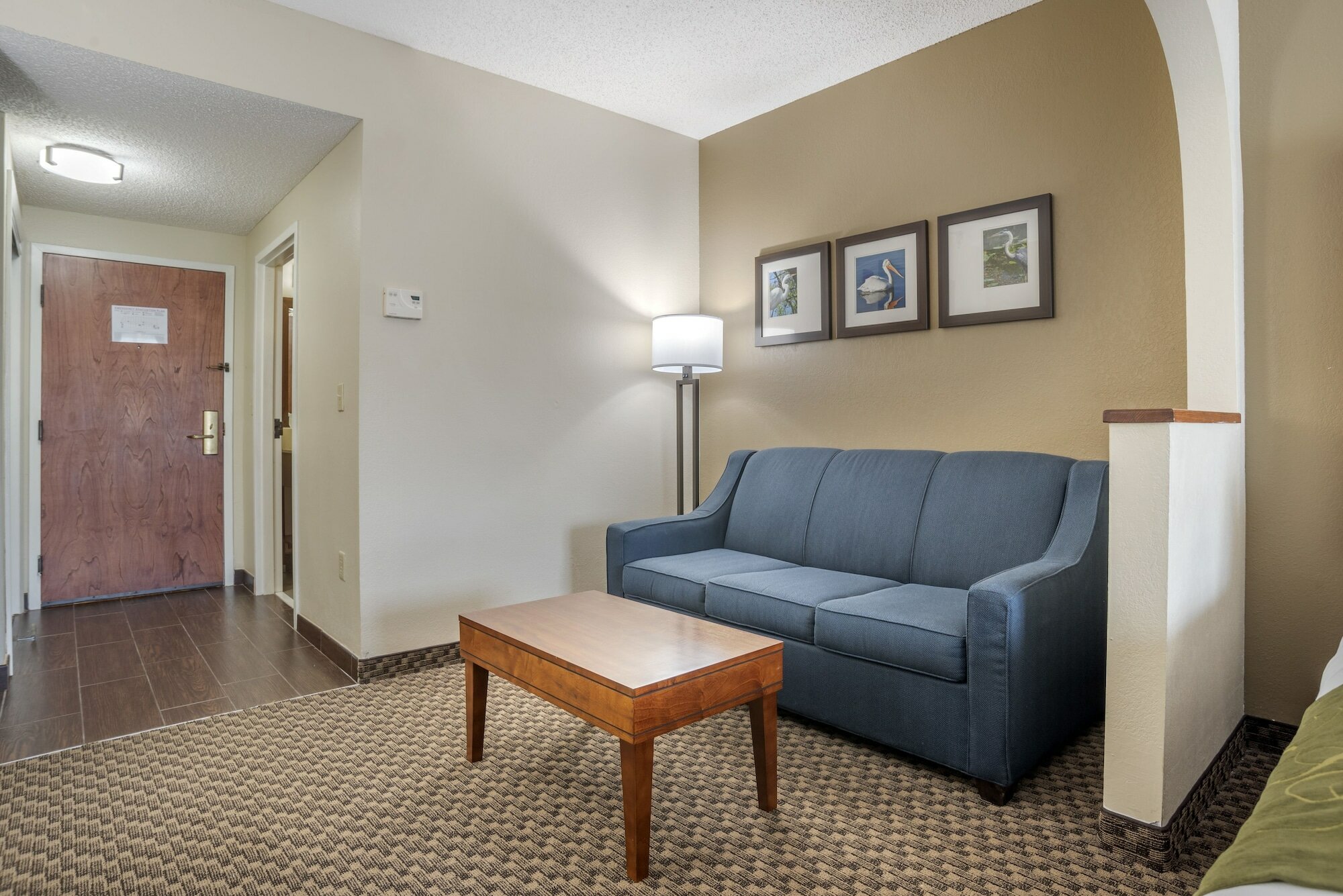 Фото Comfort Suites Tallahassee Downtown