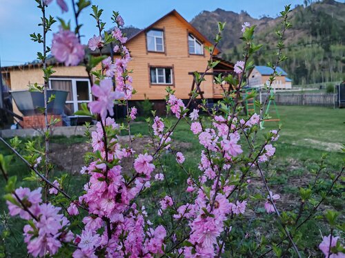 Внешний вид отеля Госпожа Удача в Чемале, фото 4