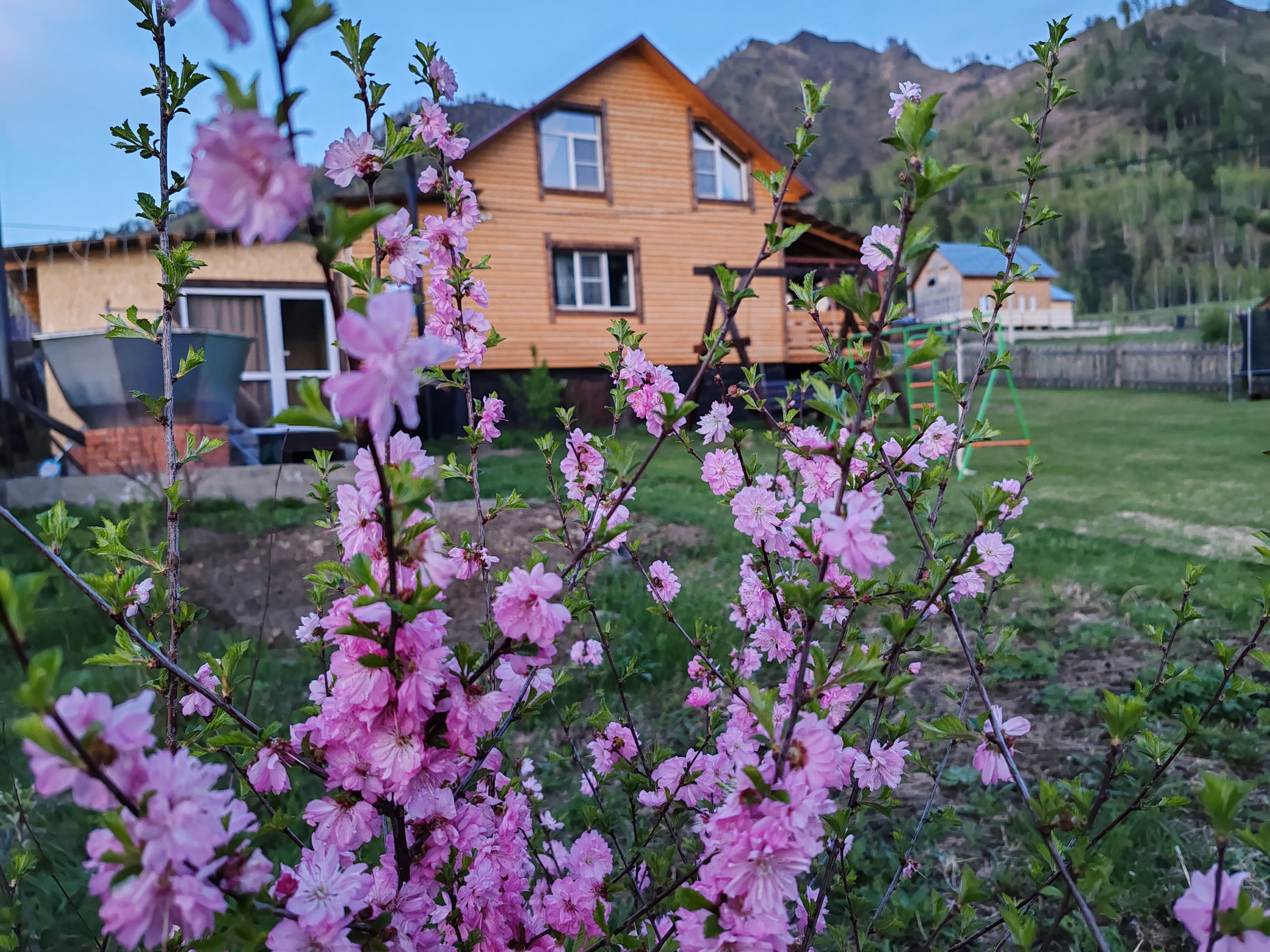 Фото отеля 4