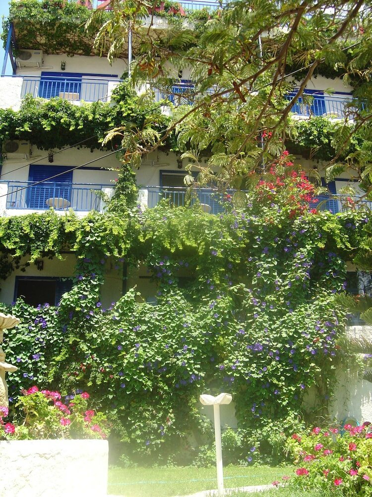 Фото Amazona Apartments