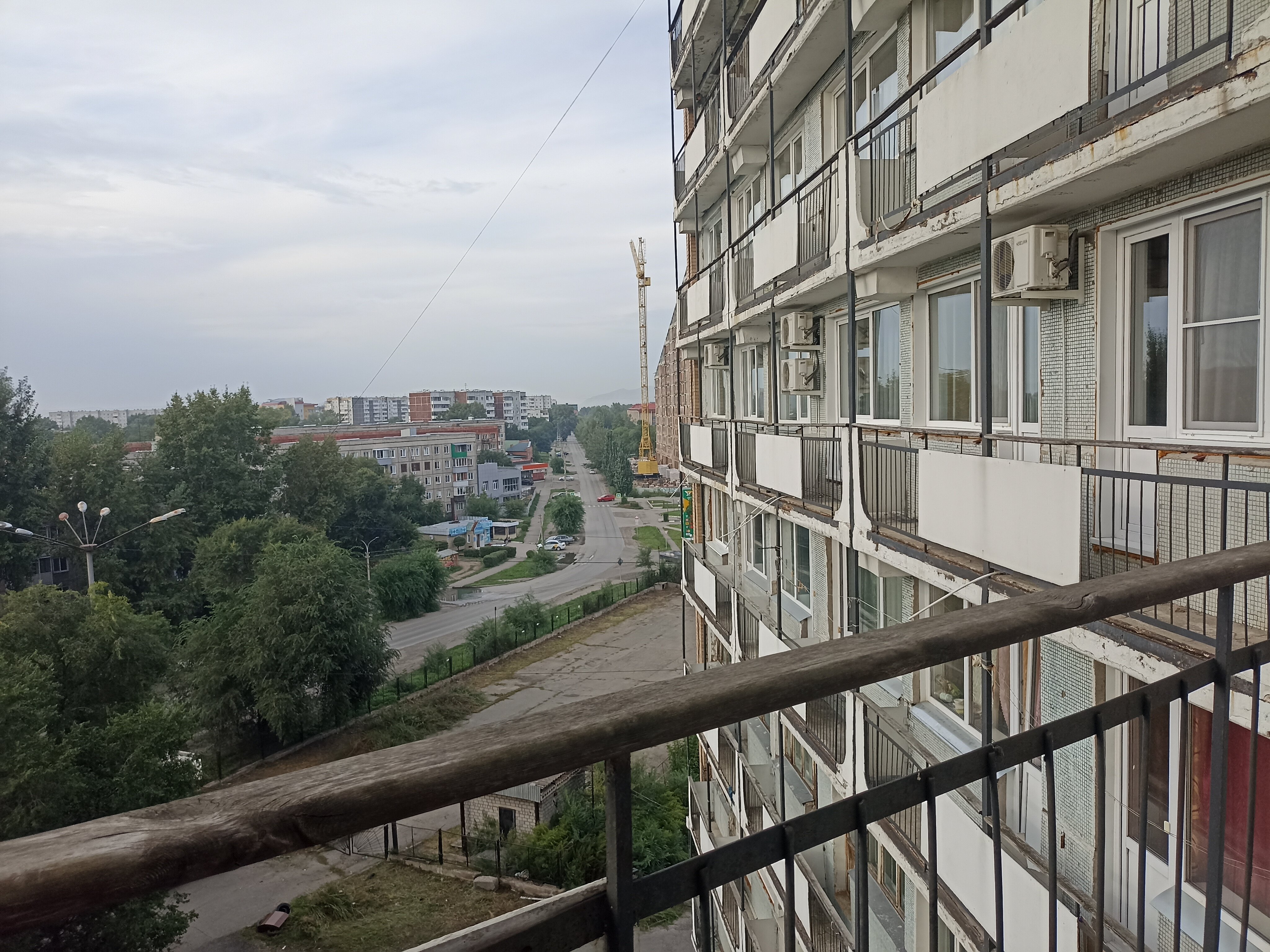 Фото Дружба