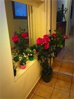 Фото Résidence De Bruxelles