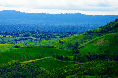 Гостиница Sirinati Khao Kho National Park - Adult Only