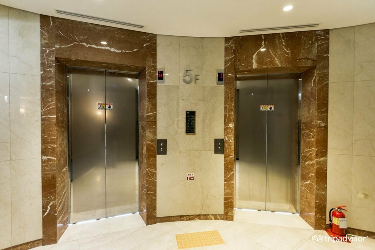 Фото 242489760524