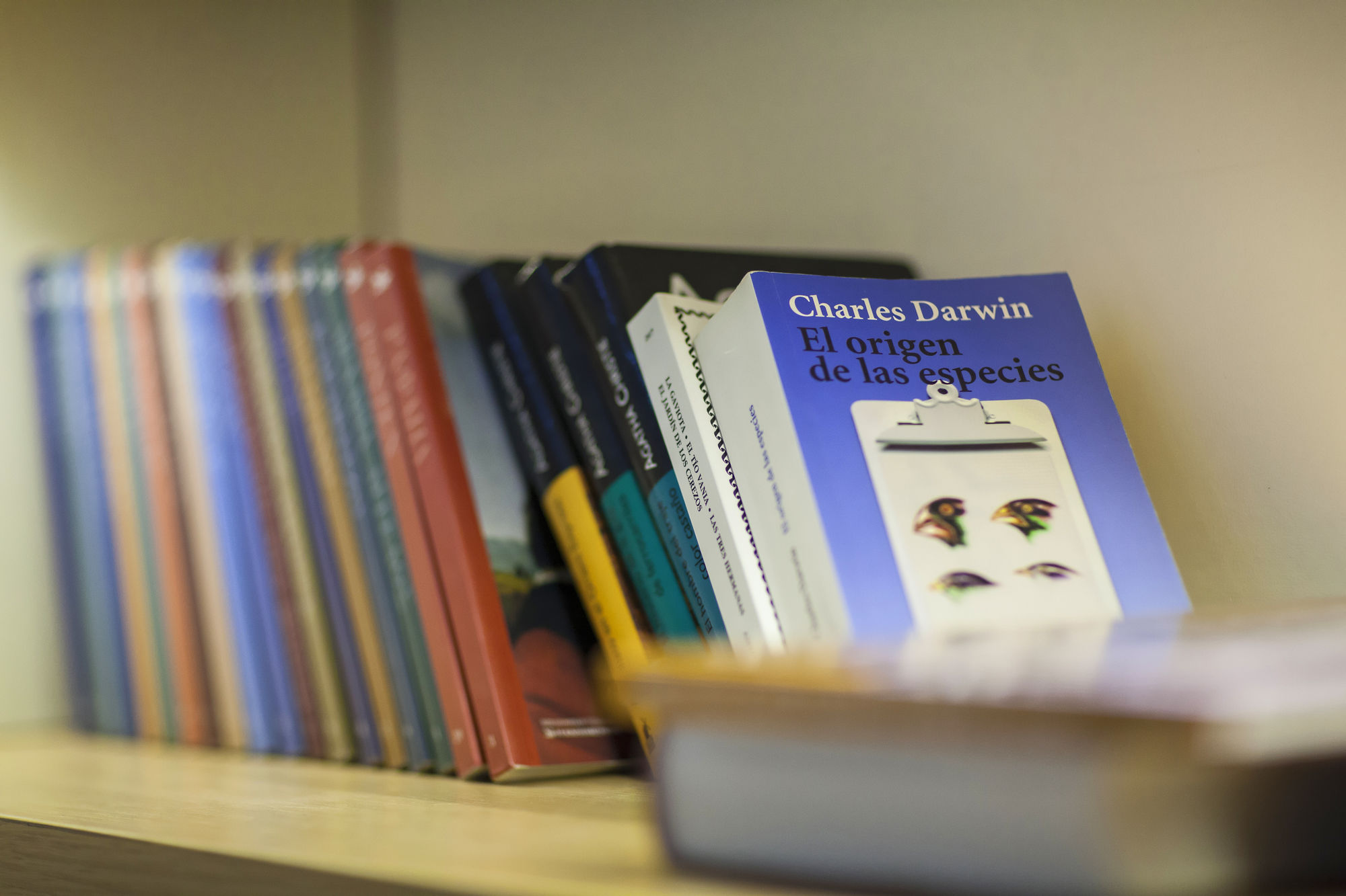 Фото Coco-mat Hotel Nafsika