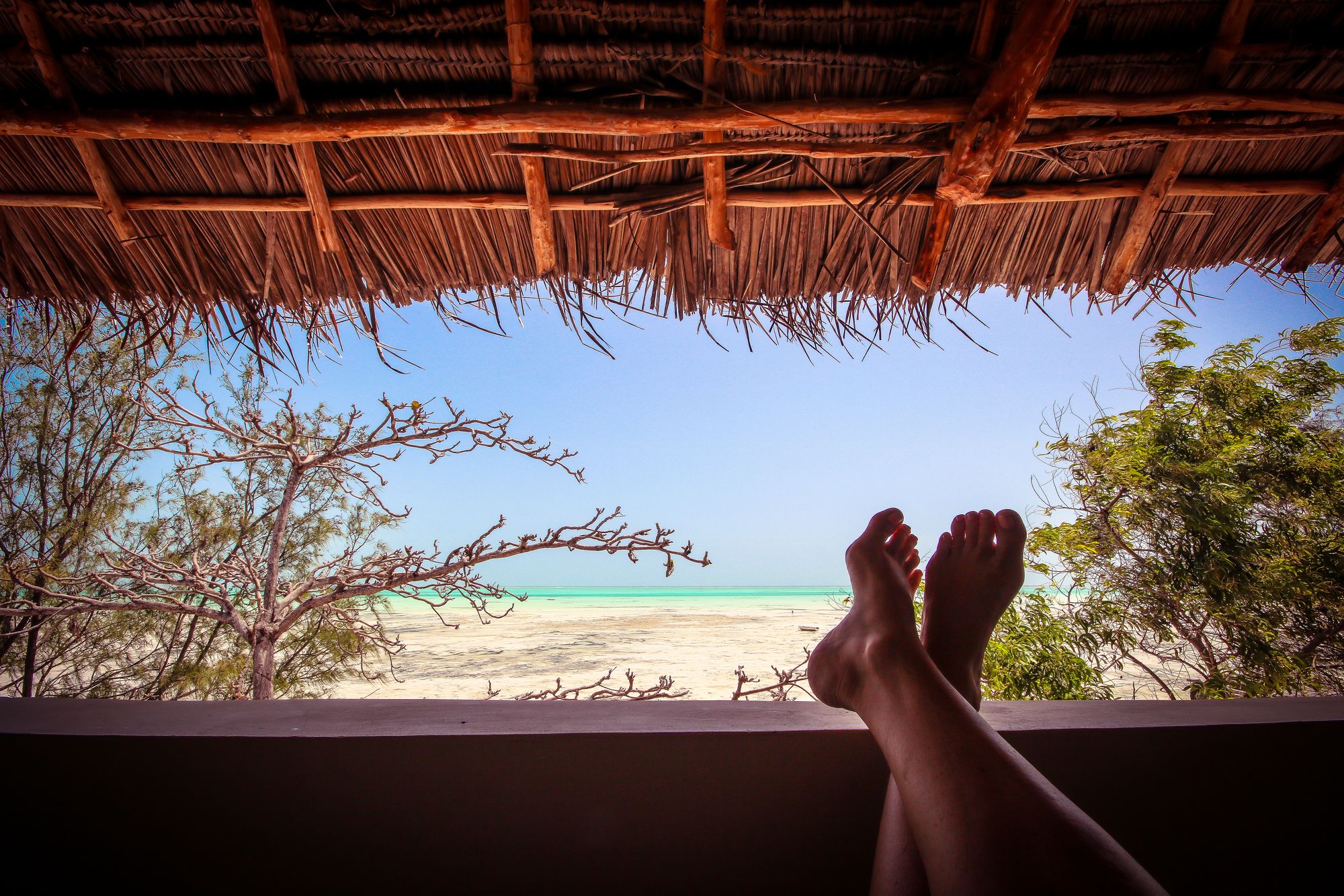 Фото Coral Rocks Hotel & Restaurant