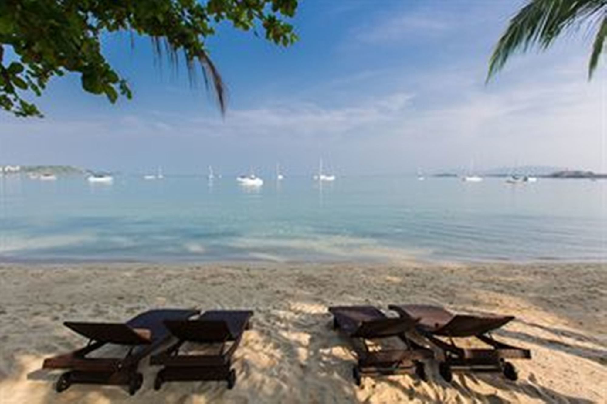 Фото Villa Tanamera