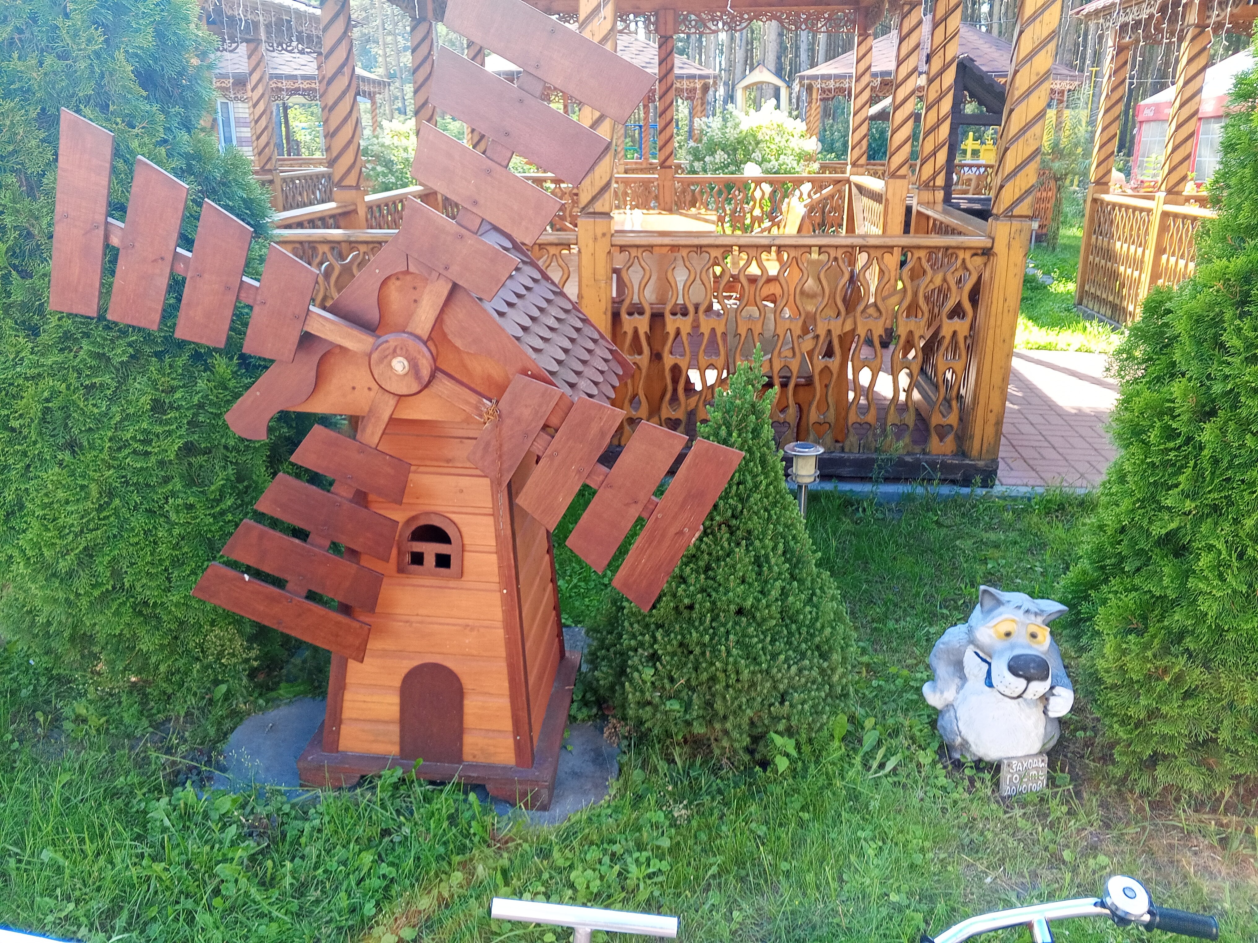 Фото Беркут