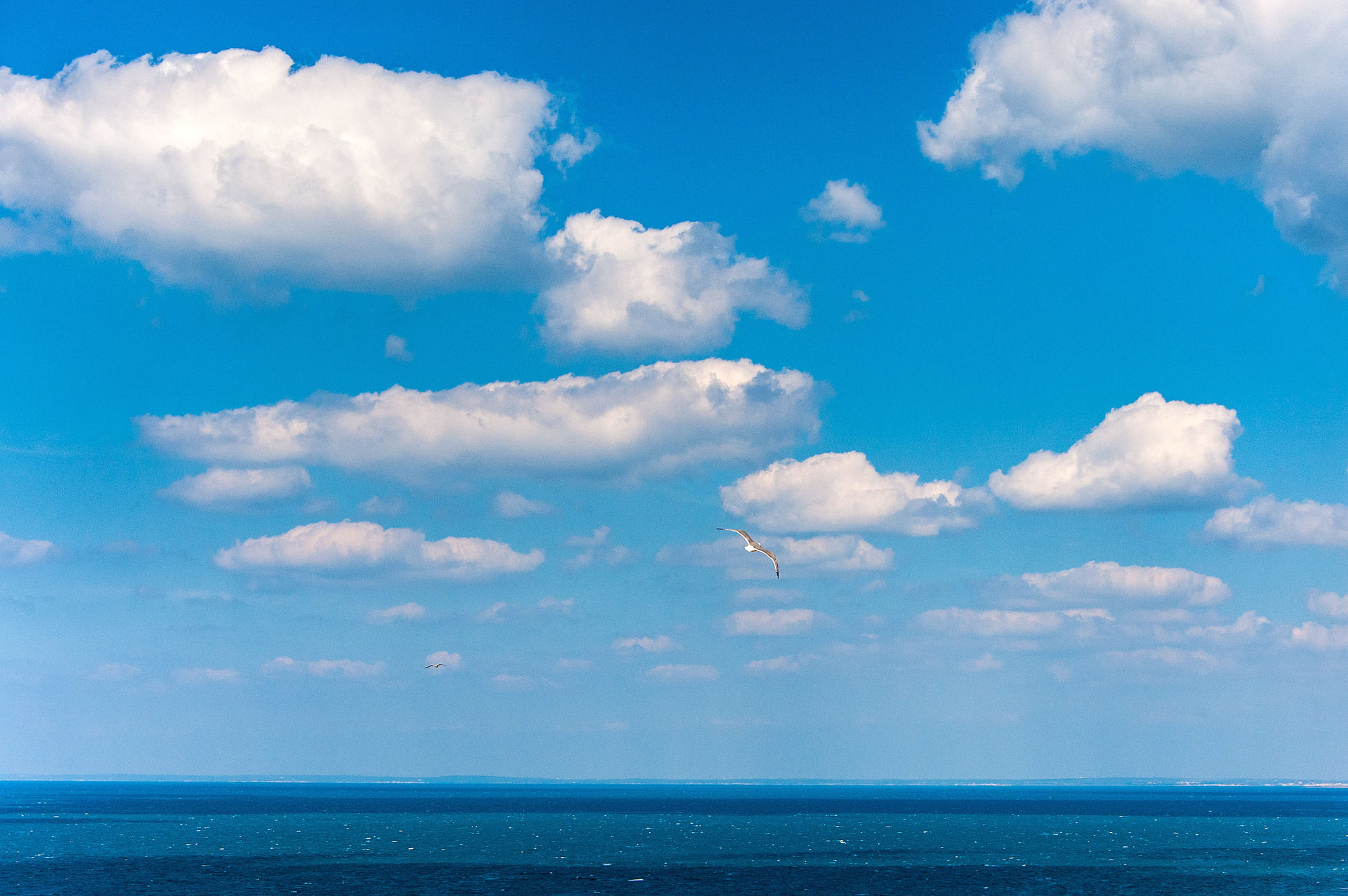 Фото Hotel Bellavista Club - Caroli Hotels