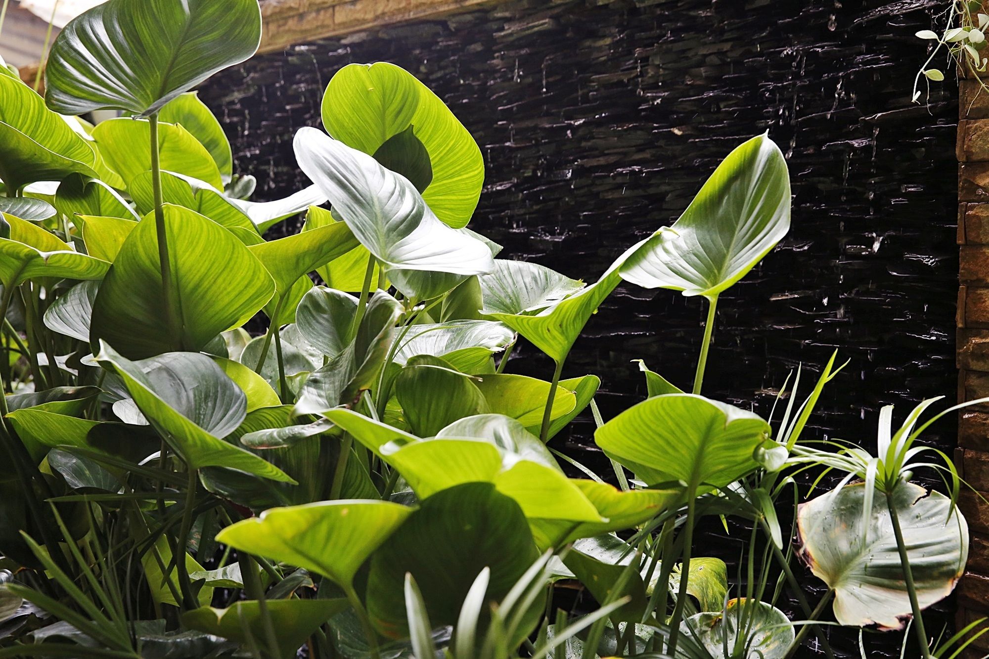 Фото Baan SS Karon