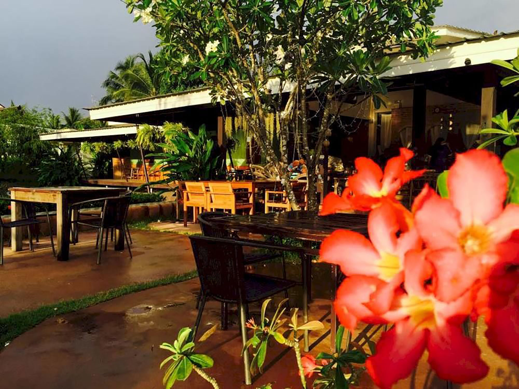 Фото Good Times Resort