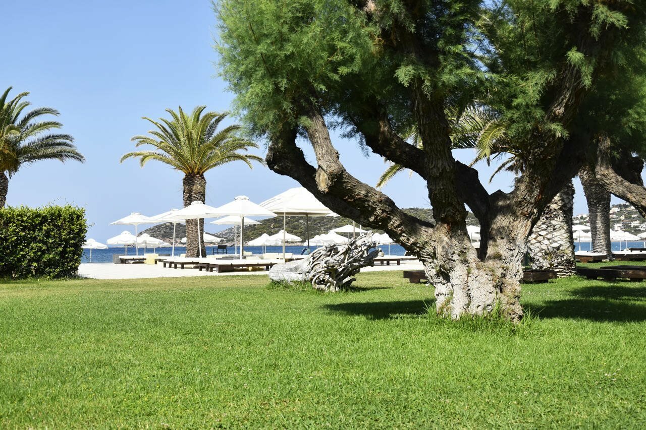 Фото Plaza Resort