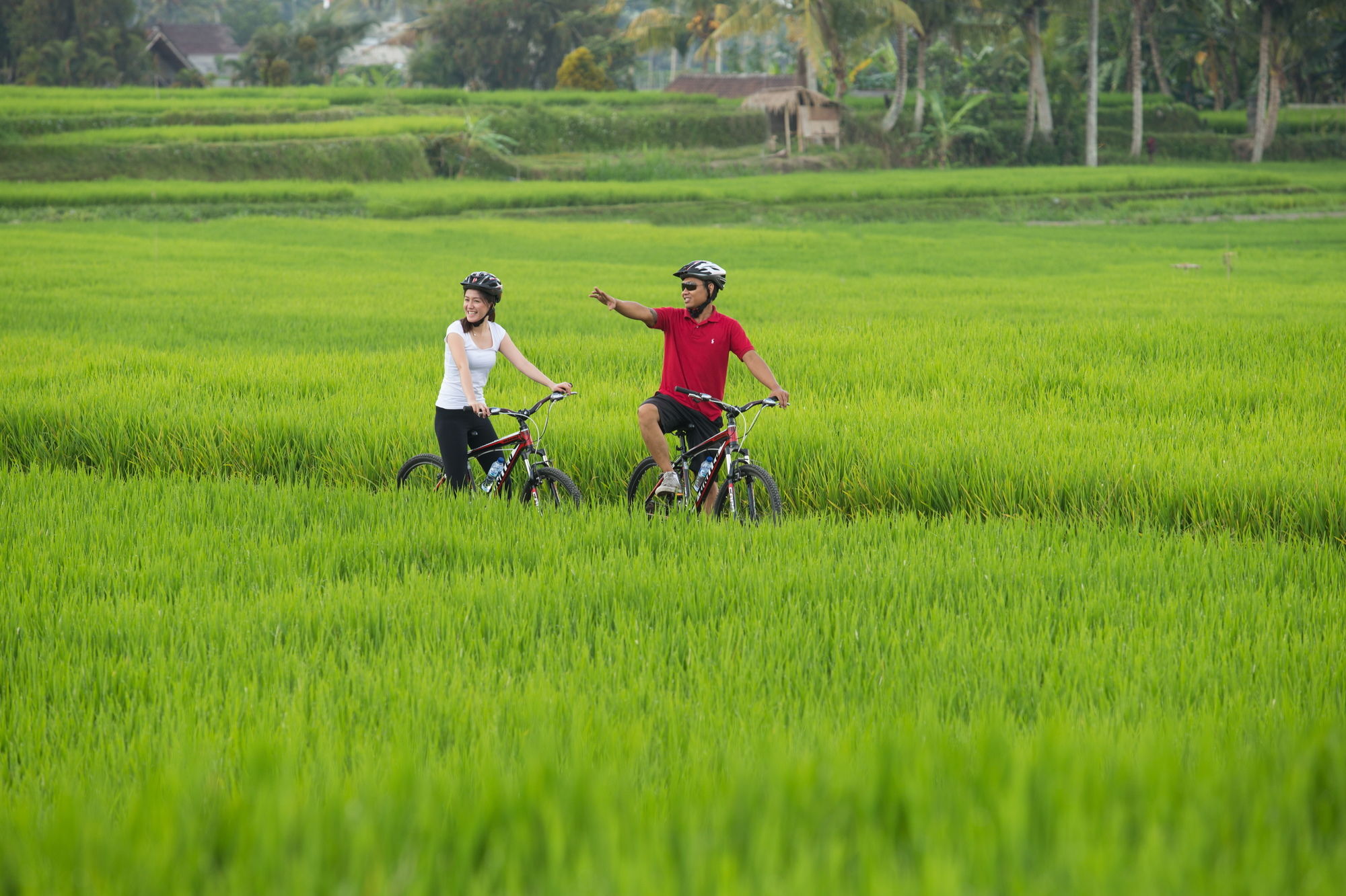 Фото Dwaraka The Royal Villas