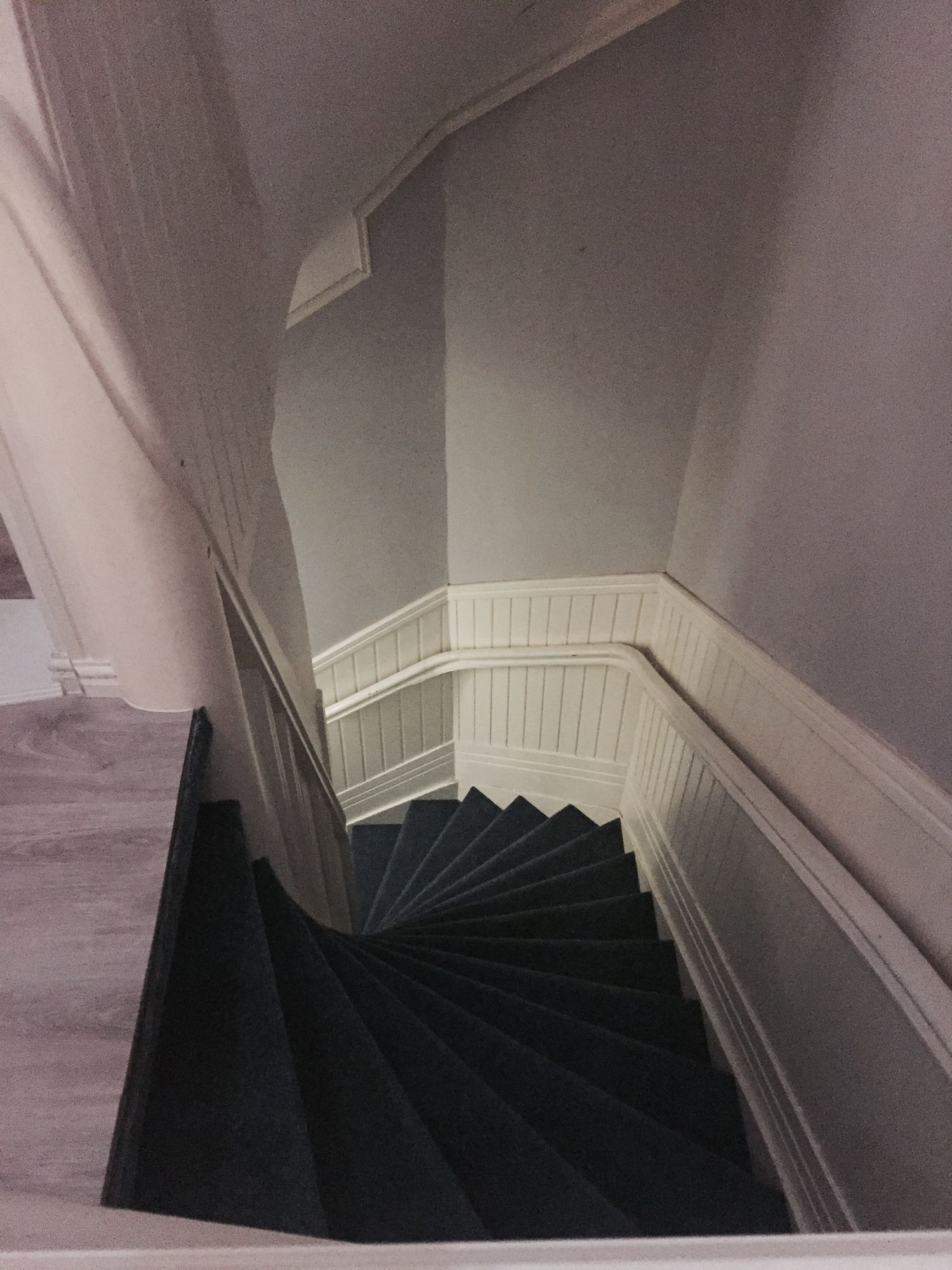 Фото Vondelpark House Bed&Breakfast