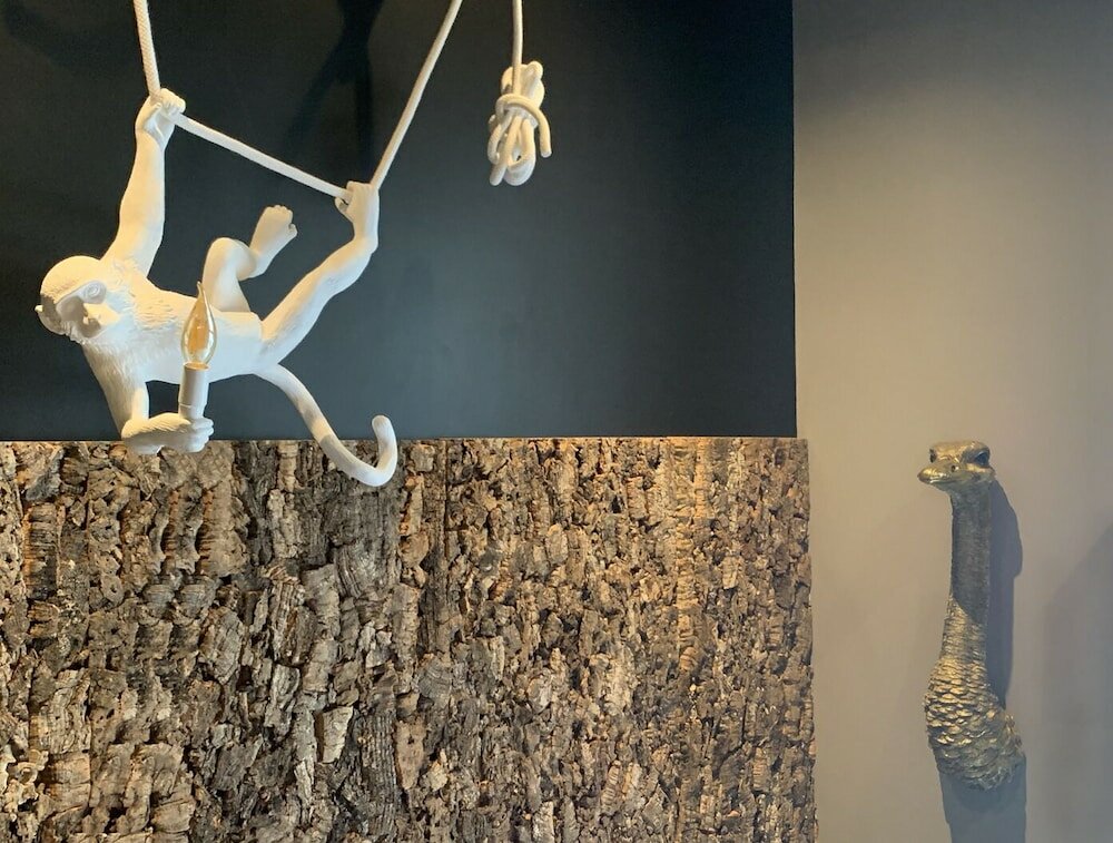 Фото Urban Jungle. Hotel Orleans