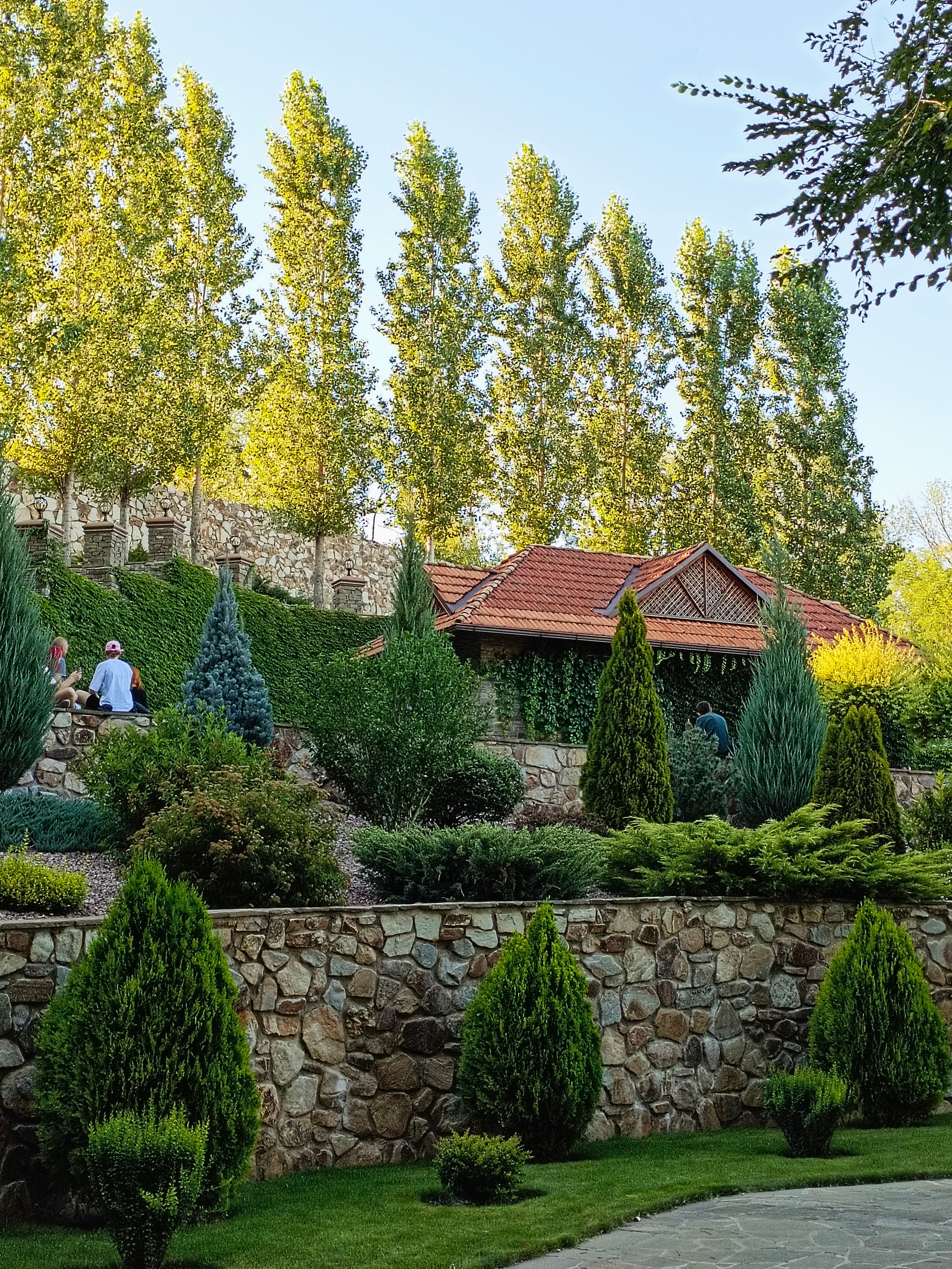 Фото Добрый