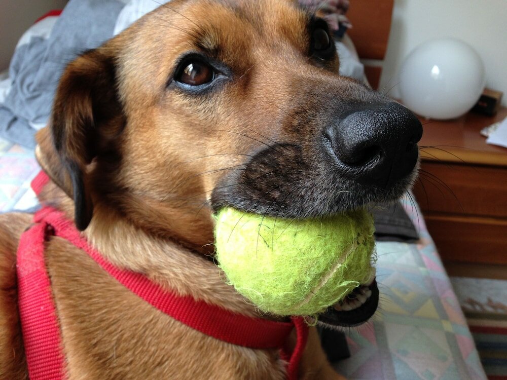 Фото Hotel Miraggio