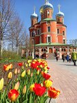 Донской паломнический центр (Donskaya Square, 1с27), excursions
