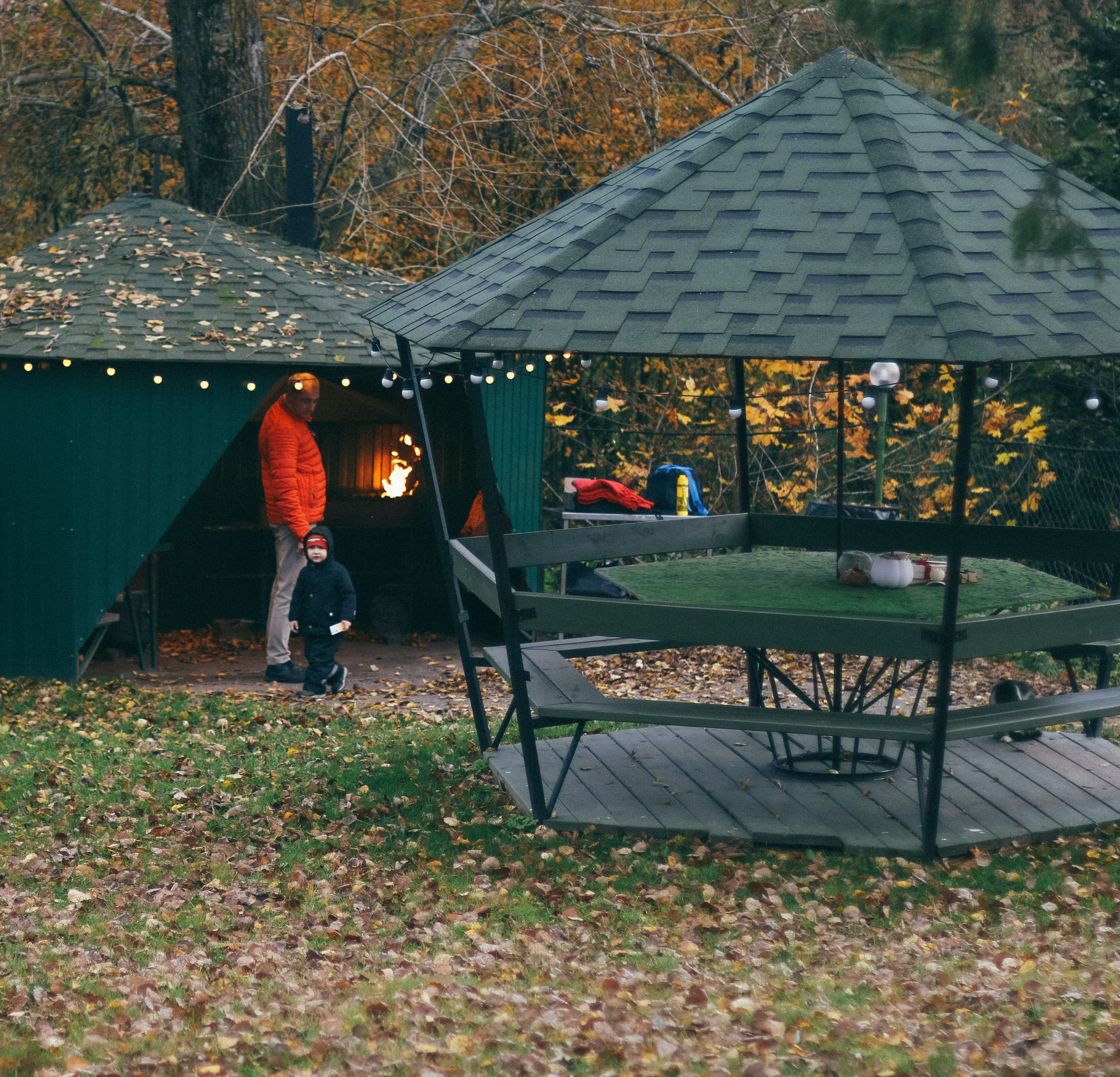 Фото Ласточкино гнездо