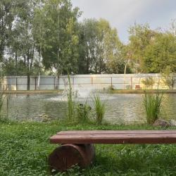 Фото Уютный домик в лесу у пруда