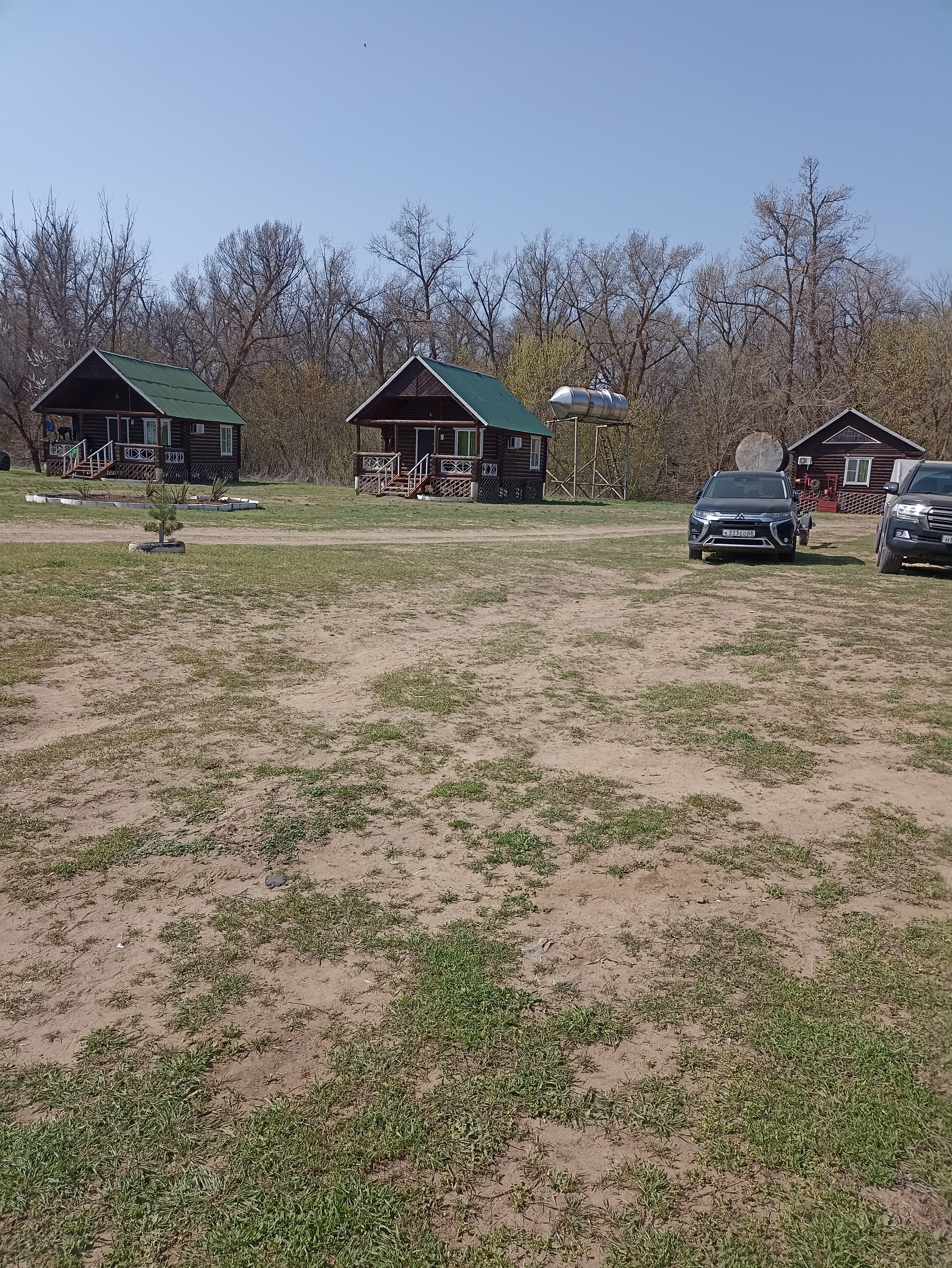 Фото Гремучий