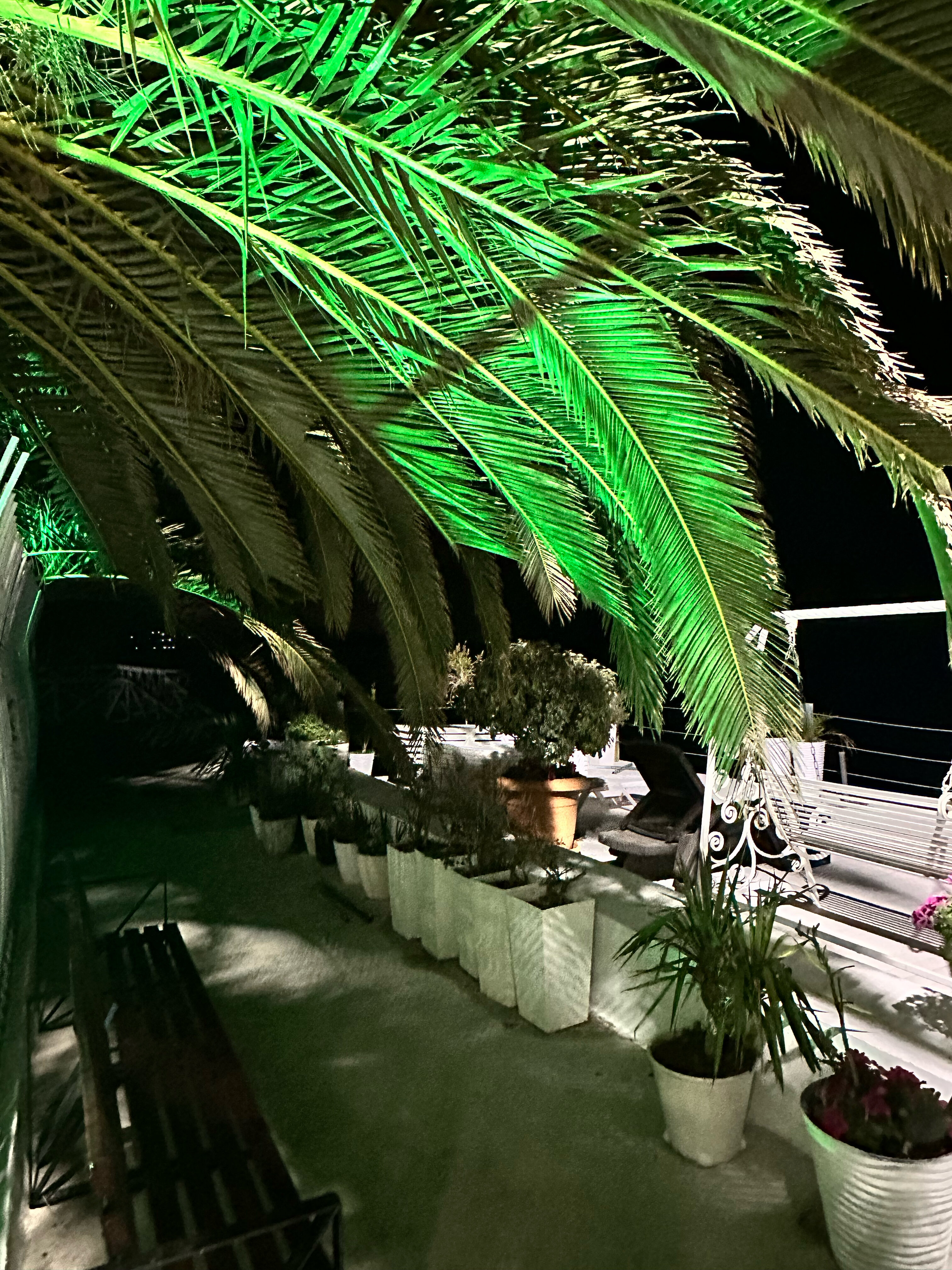 Фото Константа