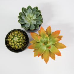 Фото Атмосфера