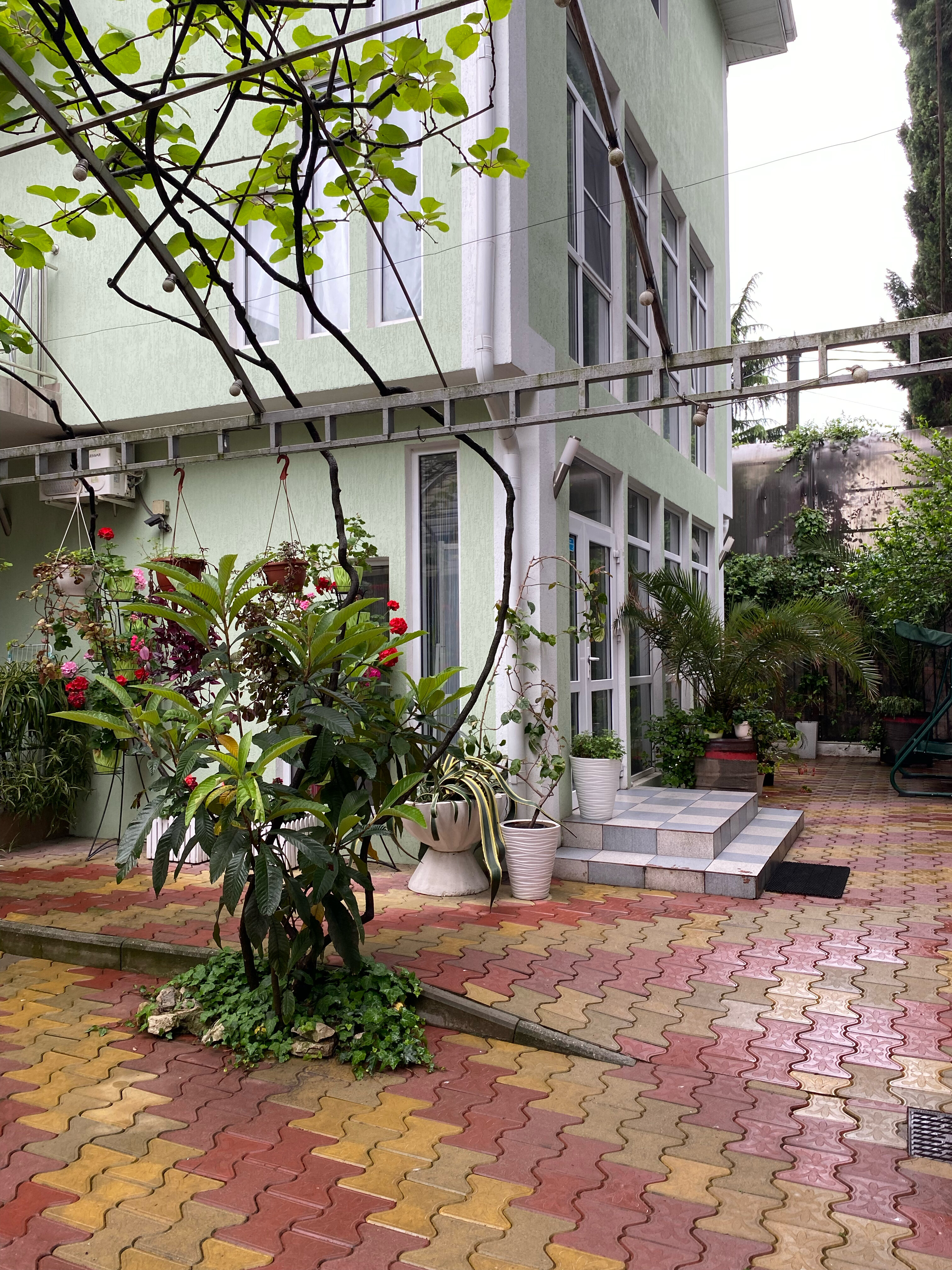 Фото Тростник