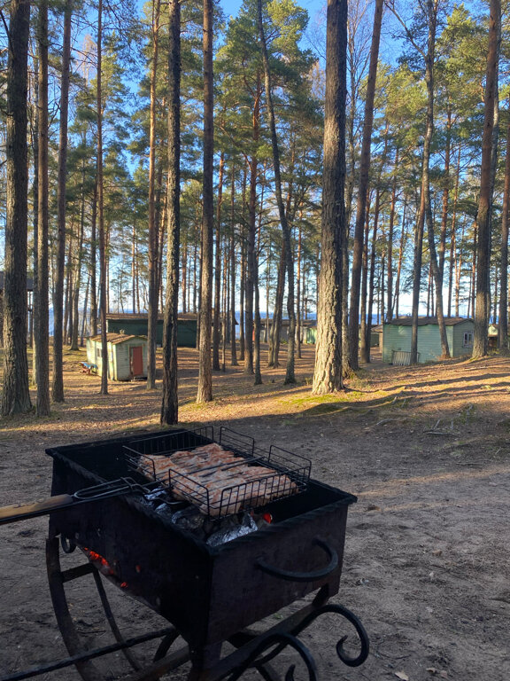 Фото Янтарный Берег