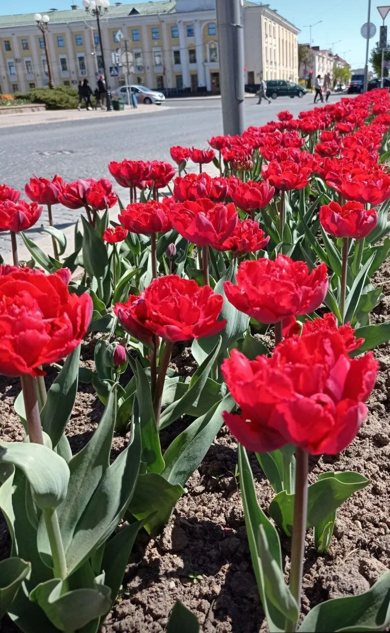 Фото Горизонт