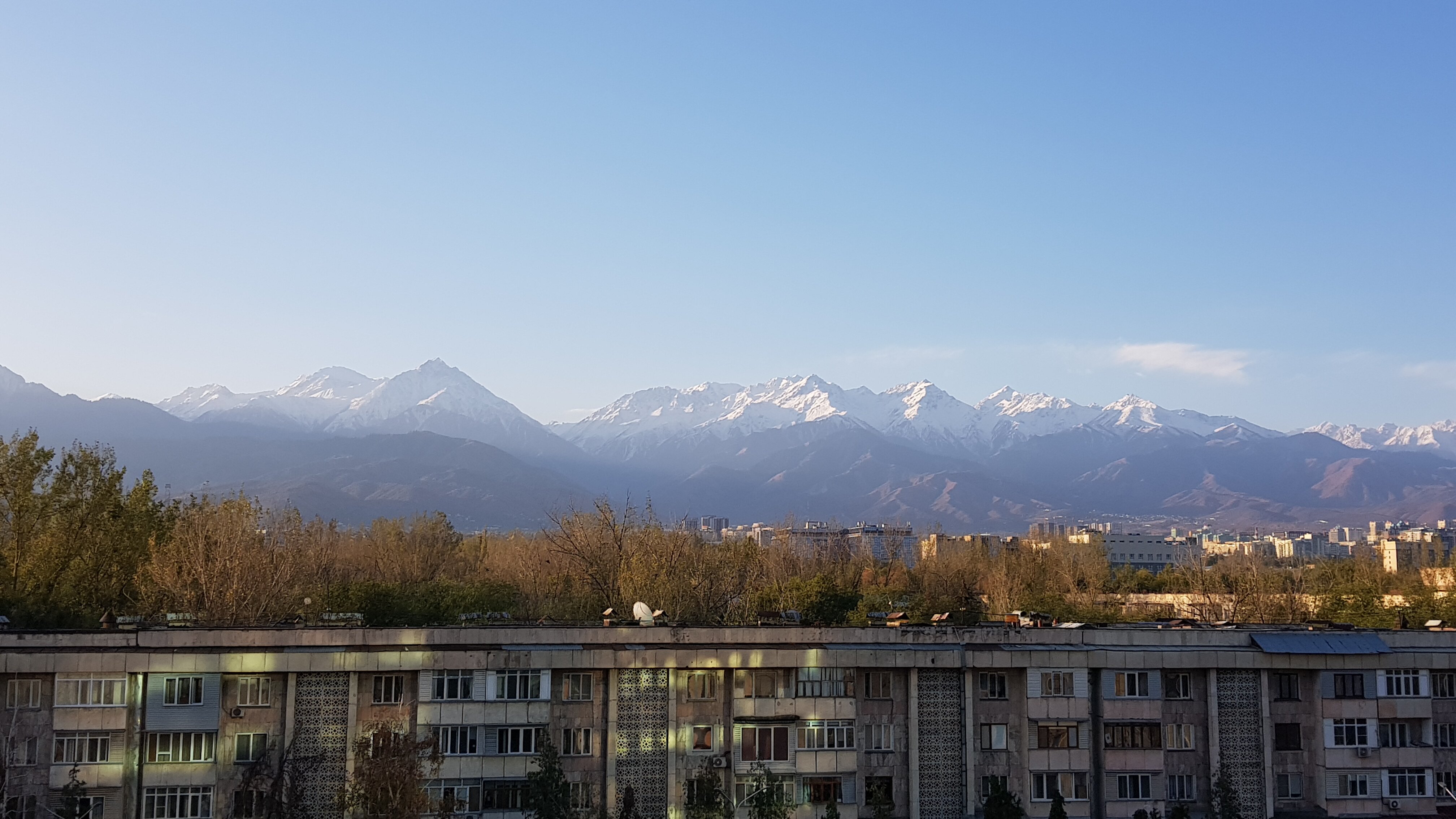 Фото Rahat Palace Hotel