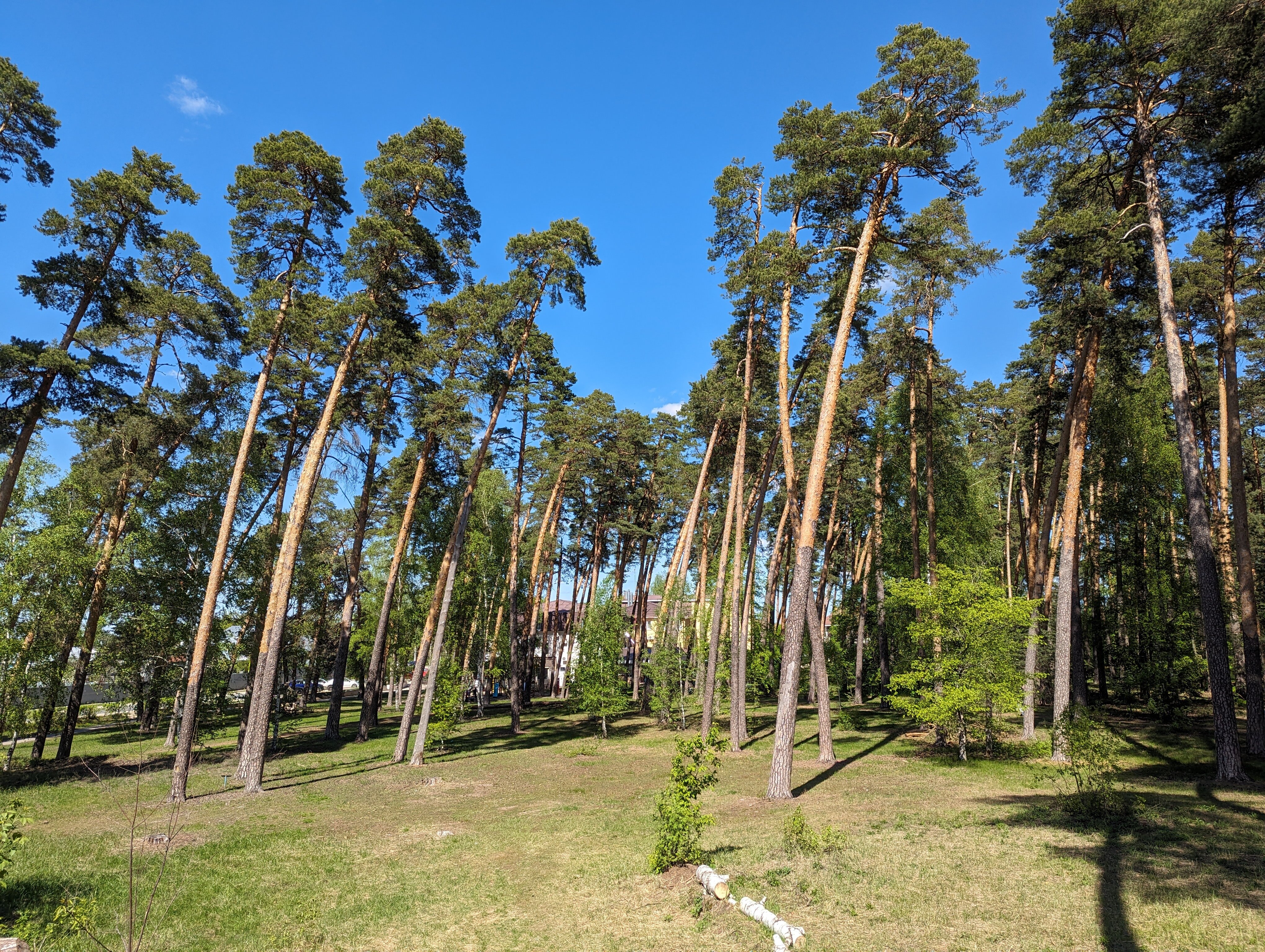 Фото Лесной бункер