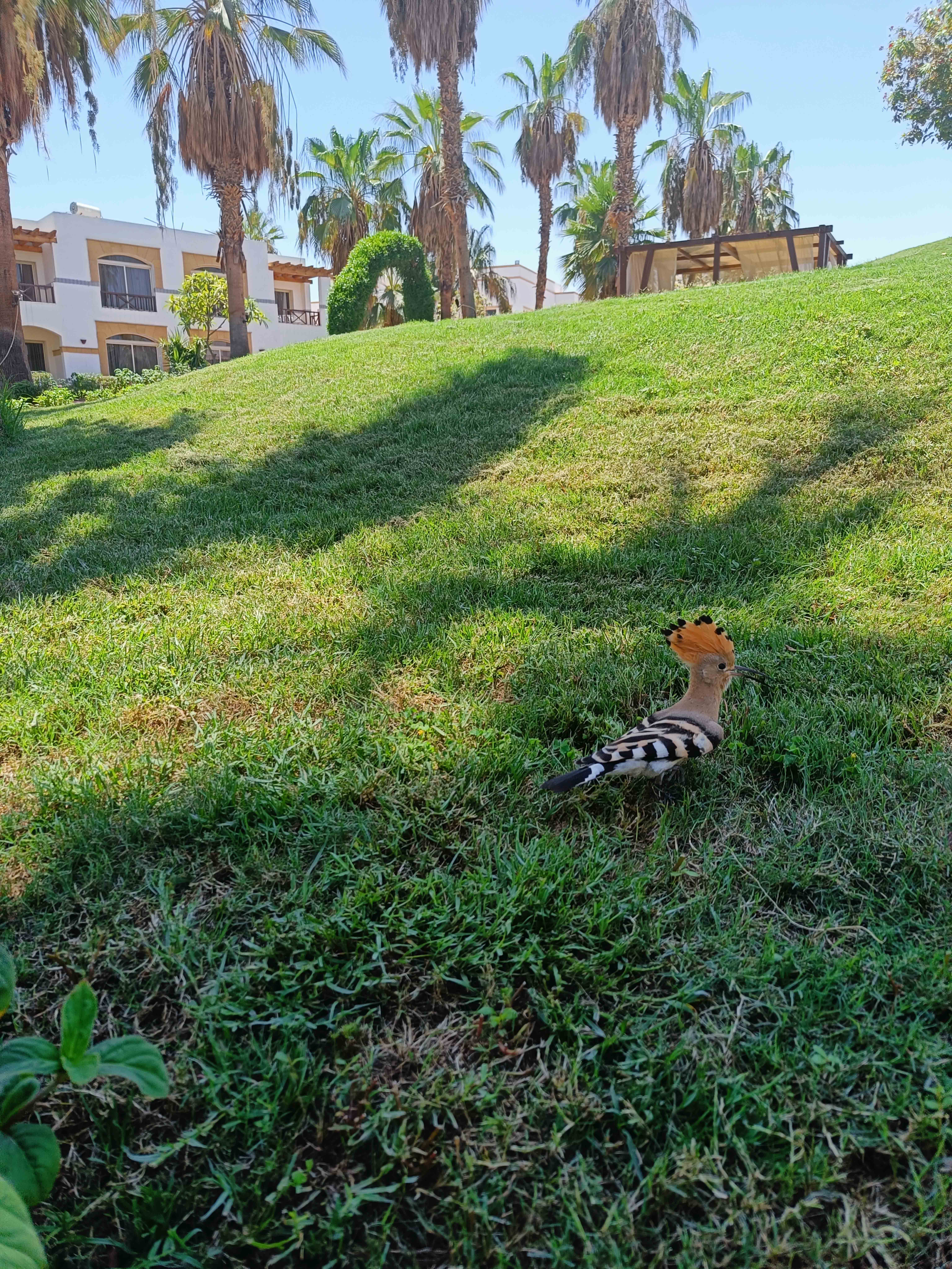 Фото Amphoras Blu