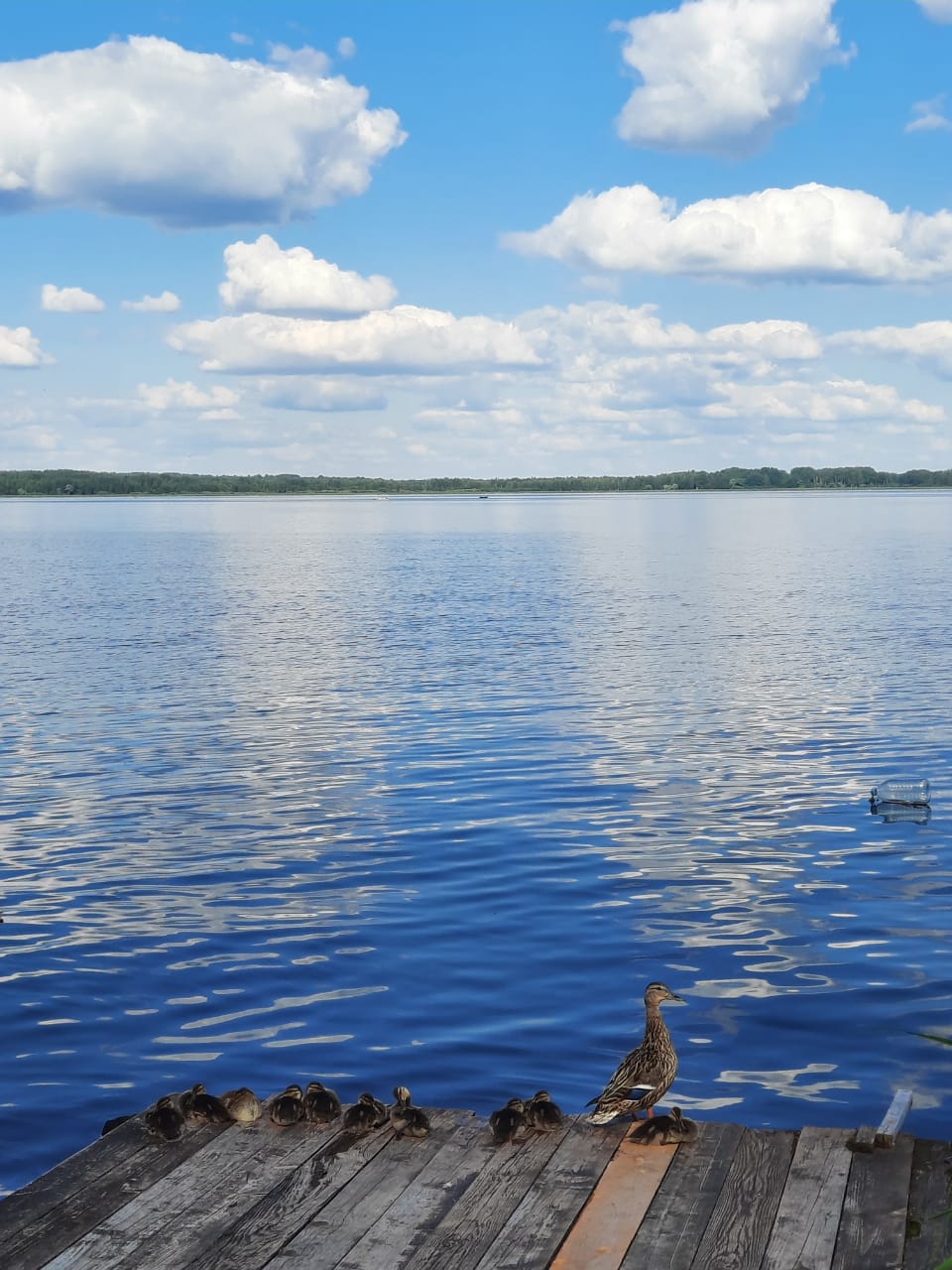 Фото Исторический дом у озера