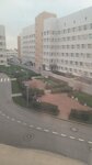 S. P. Botkin Clinical Infectious Diseases Hospital, Reception Department (Piskaryovskiy Avenue, 49) ، قسم المستشفى