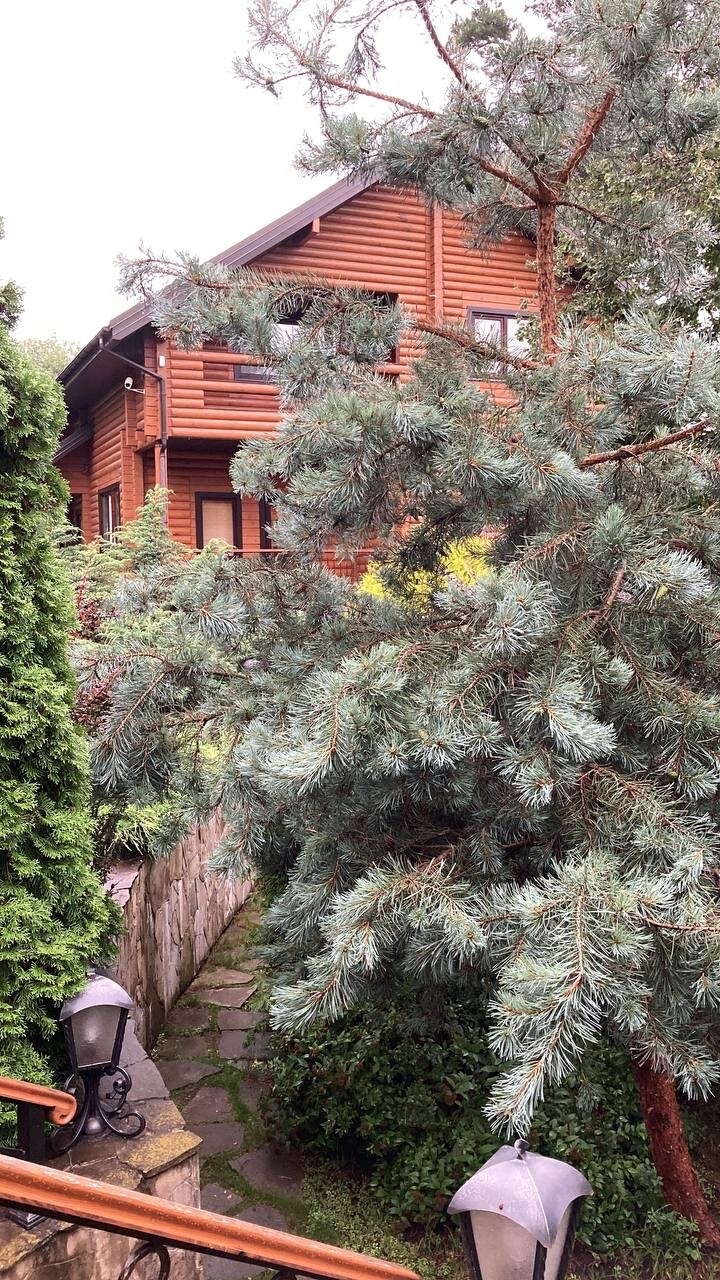 Фото Теремок