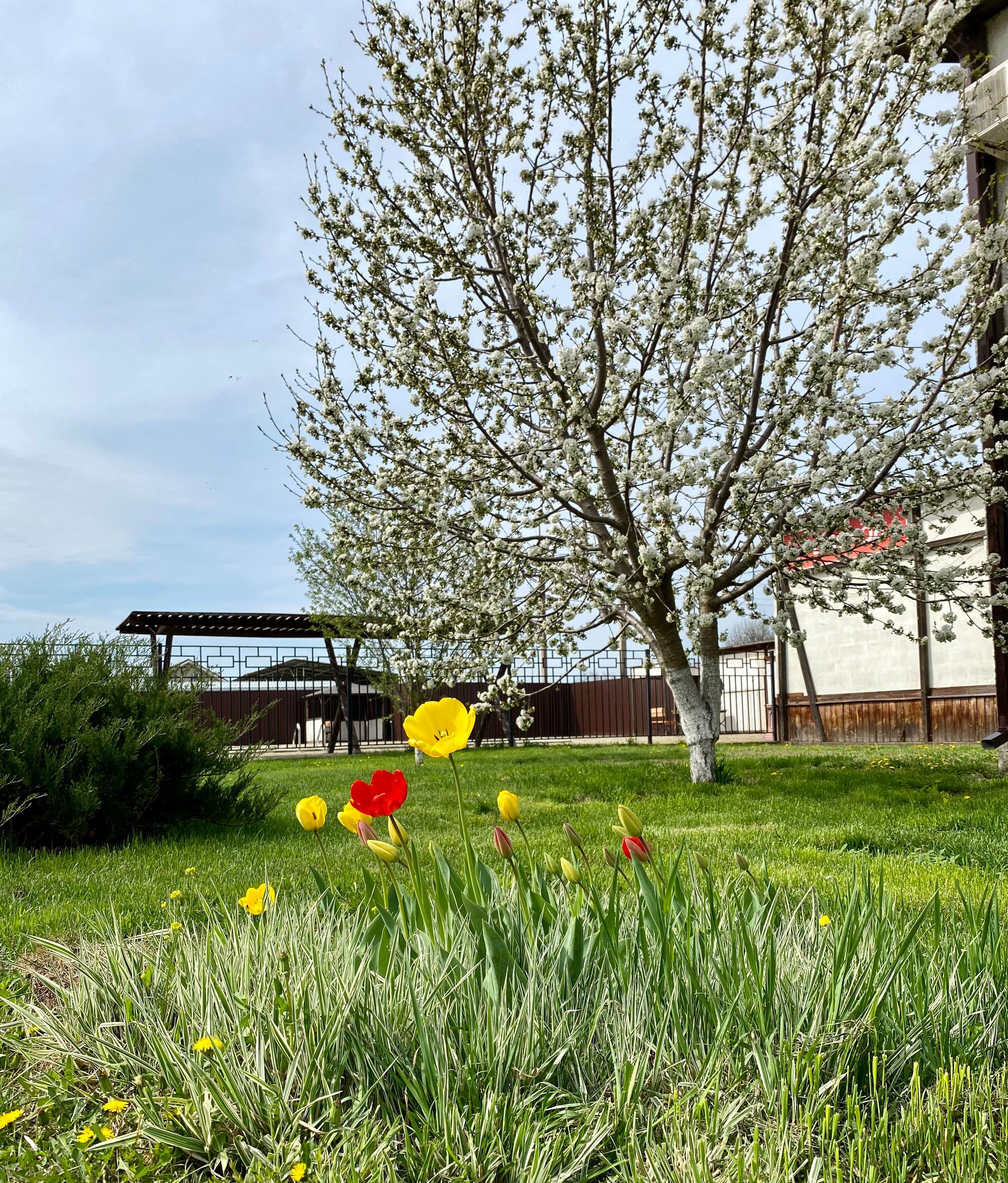 Фото Дед Щукарь