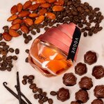 Sapil Perfumes (312, 17 Street, Musaffah Industrial Area, Mussafah, Abu Dhabi), perfume and cosmetics shop