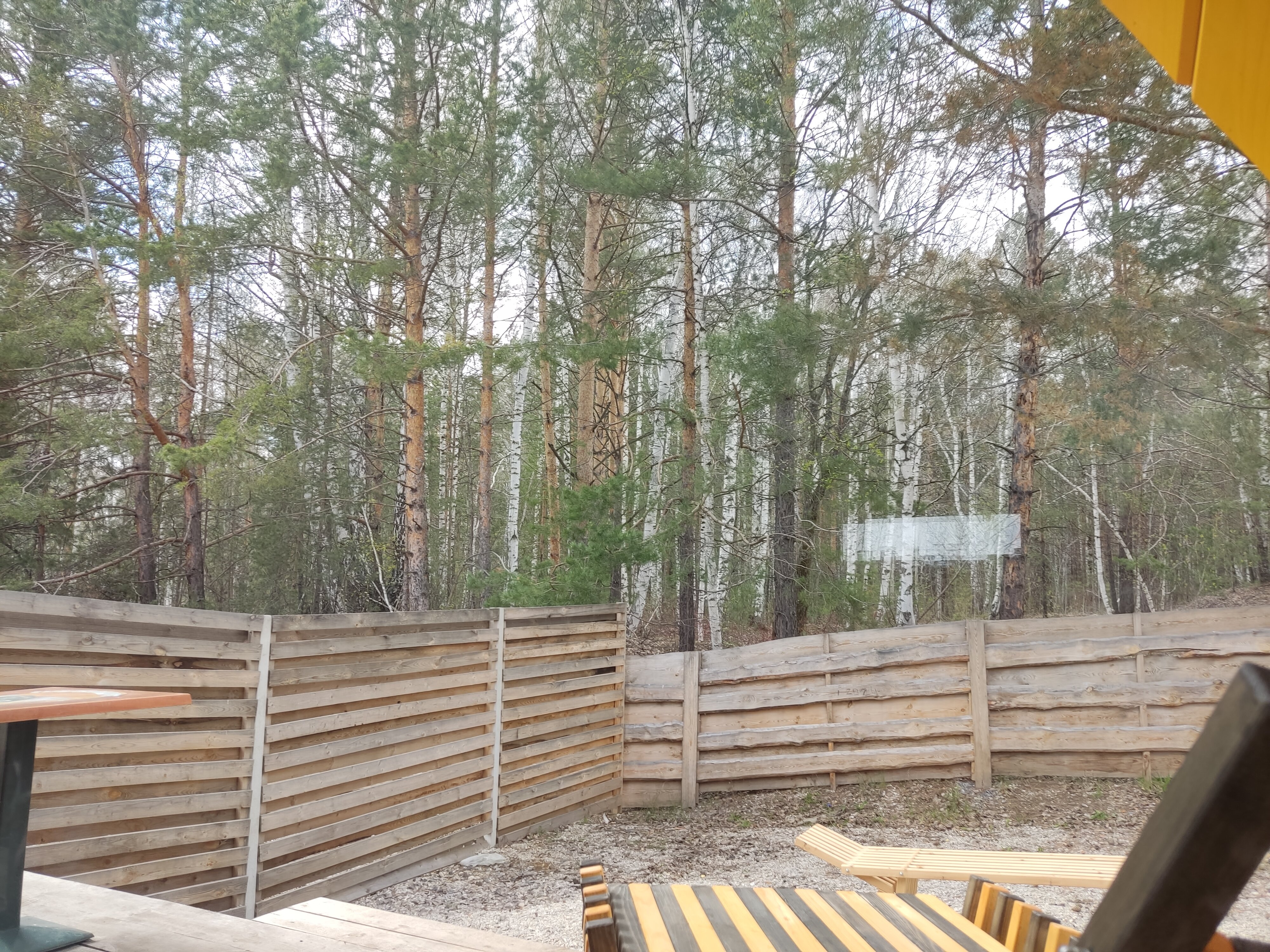 Фото Лесогорье